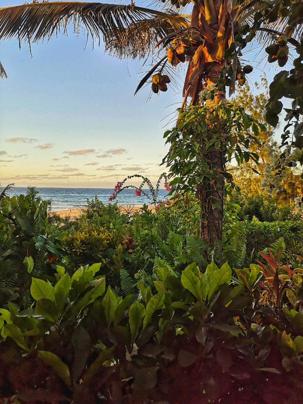 Deluxe Double or Twin Room with Sea View