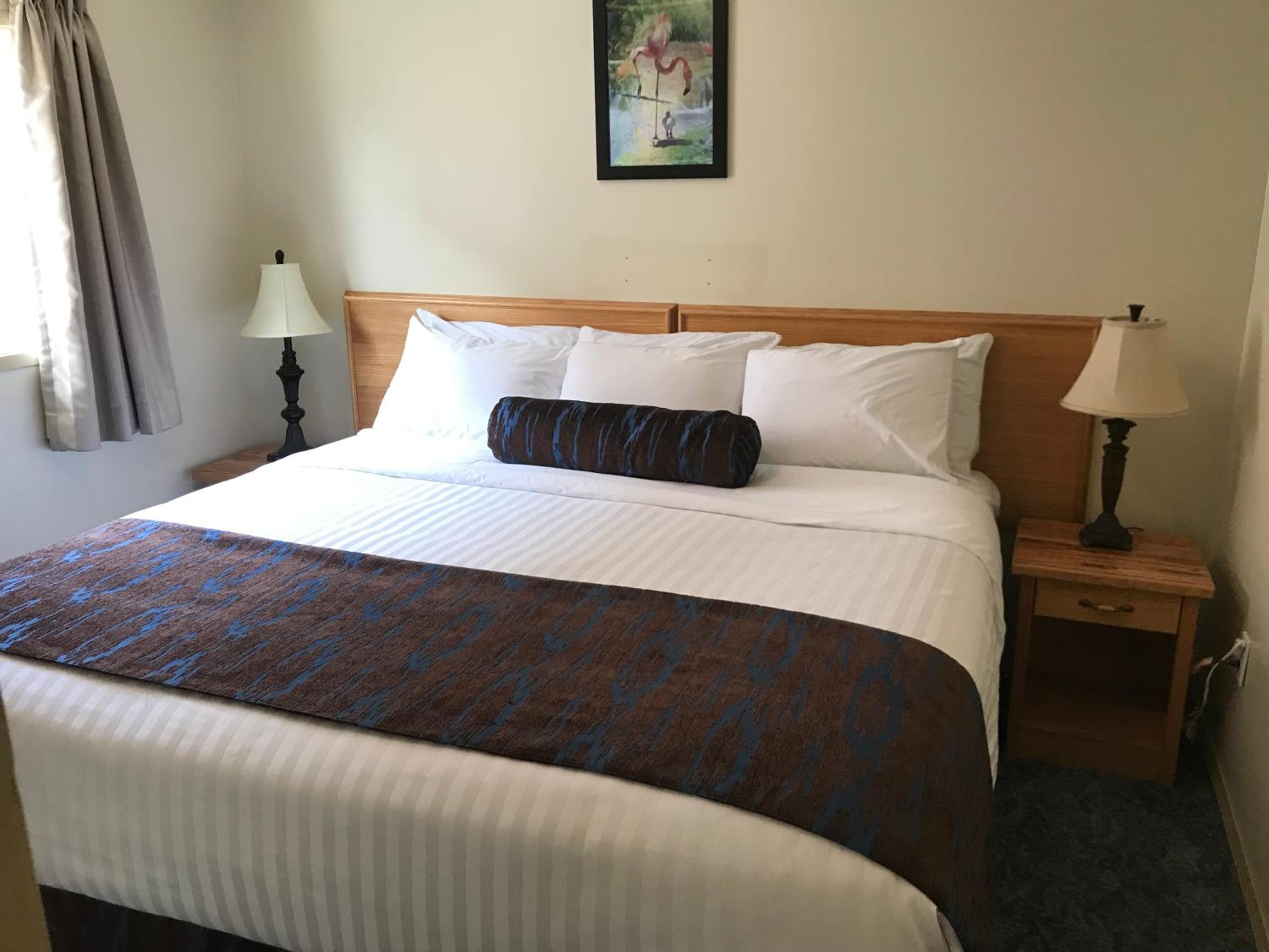 King Suite - Non Pet Friendly - Photo 1