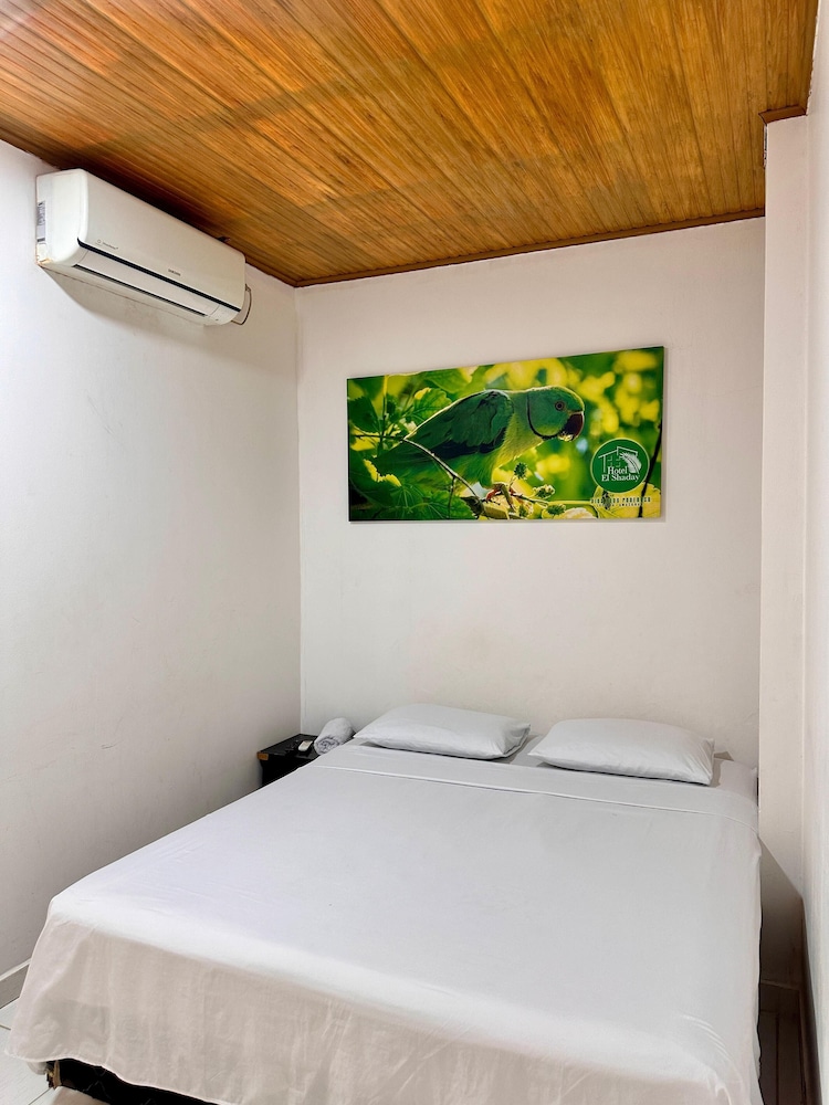 Classic Single Room, Non Smoking photo 1