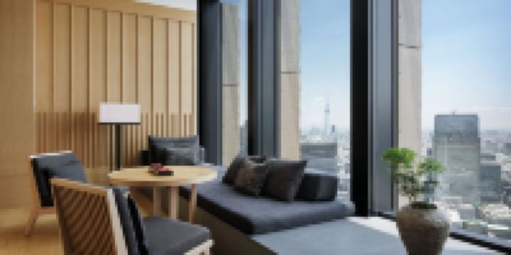 Tokyo Suite King