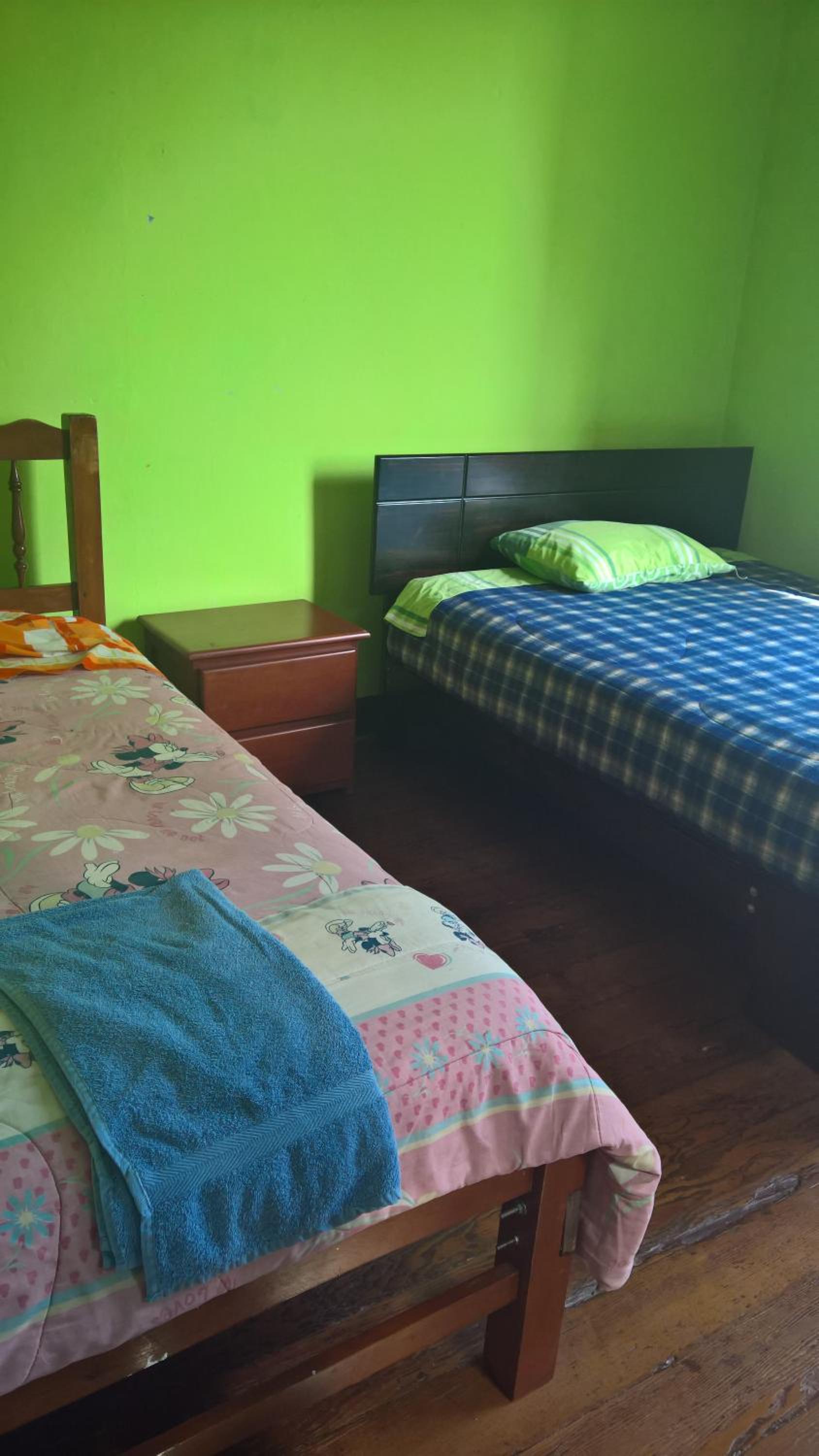 Standard Twin Room