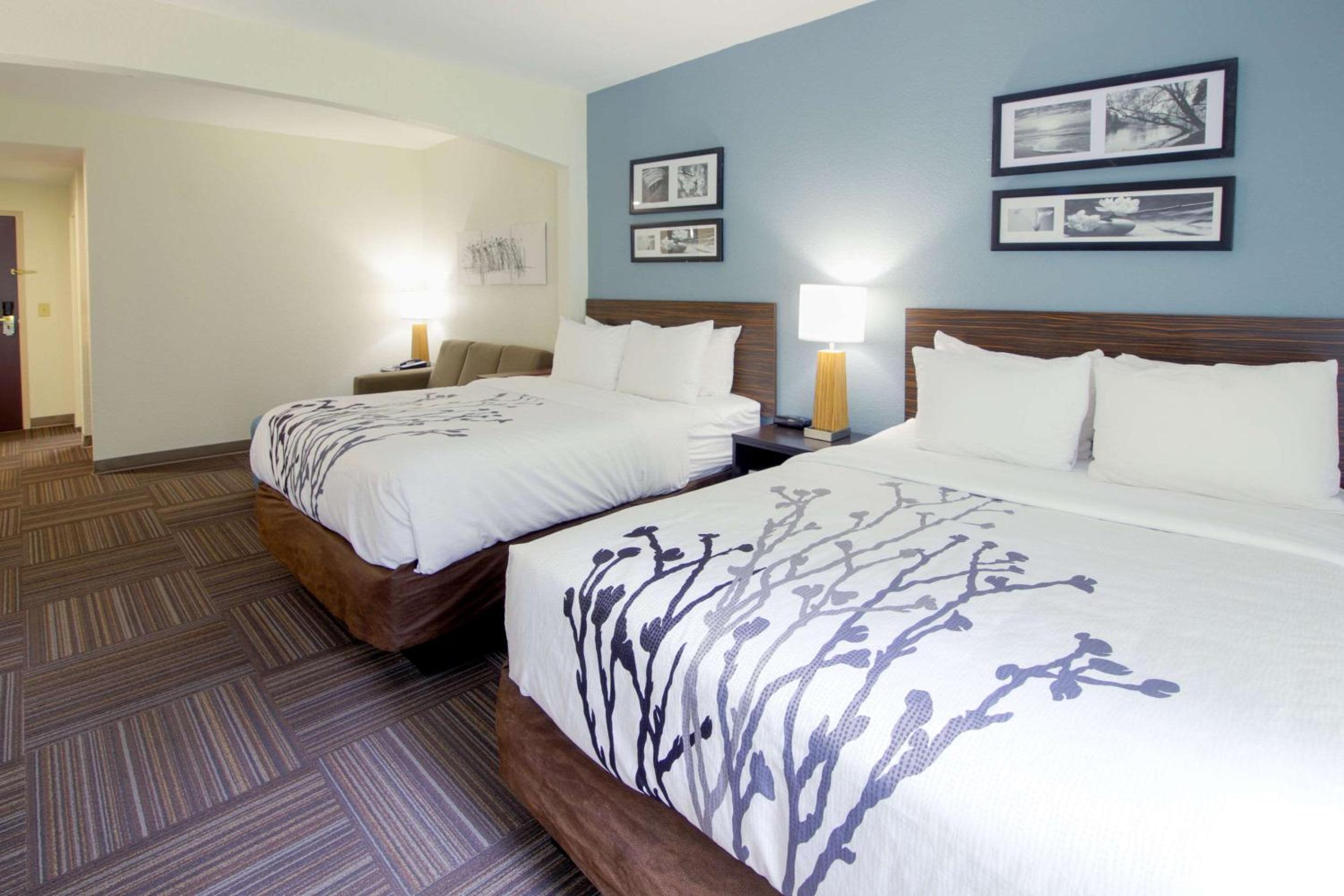 Queen Suite with Two Queen Beds and Sofa Bed and Kitchenette - Non Smoking - Photo 1