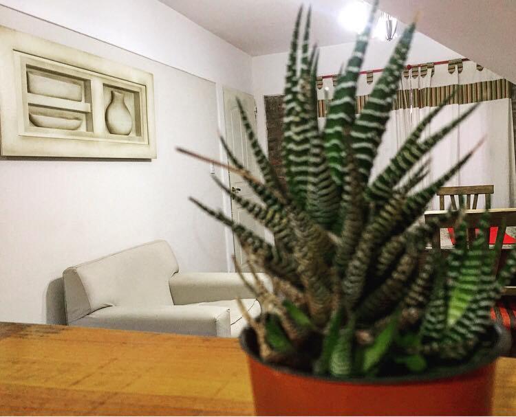 Duplex Apartment photo 2