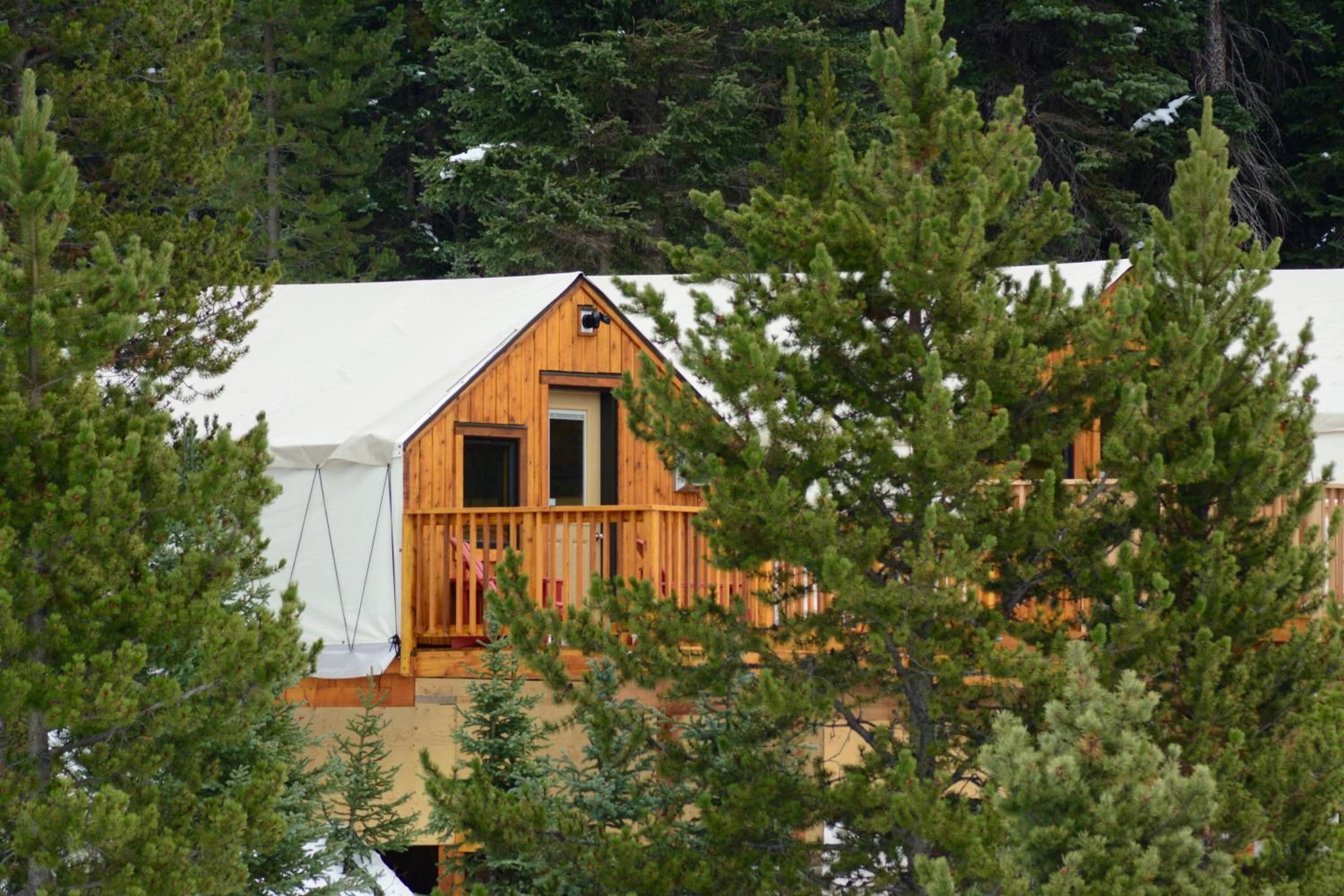 Glamping Tents photo 3