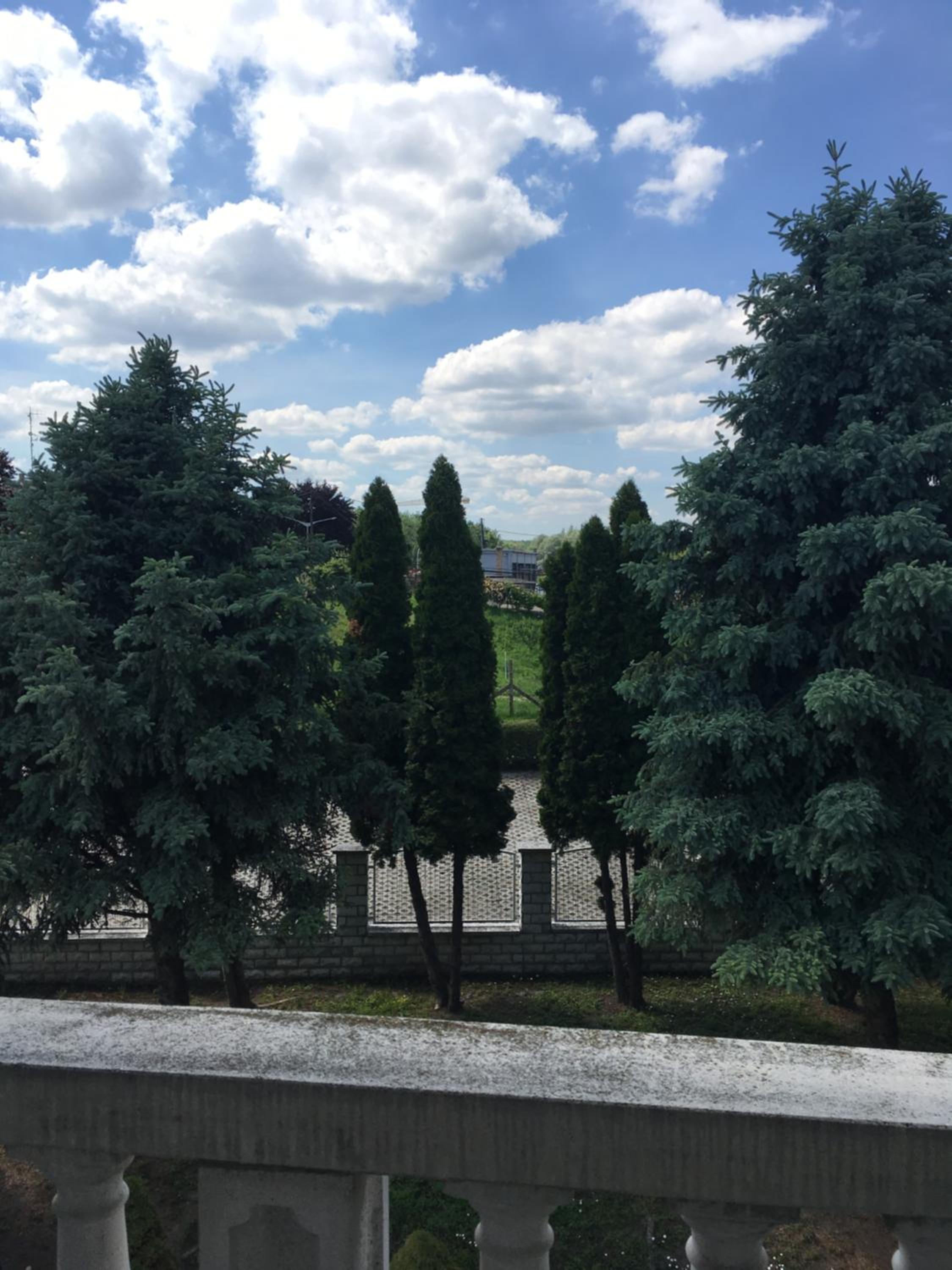 Apartment with Terrace photo 1