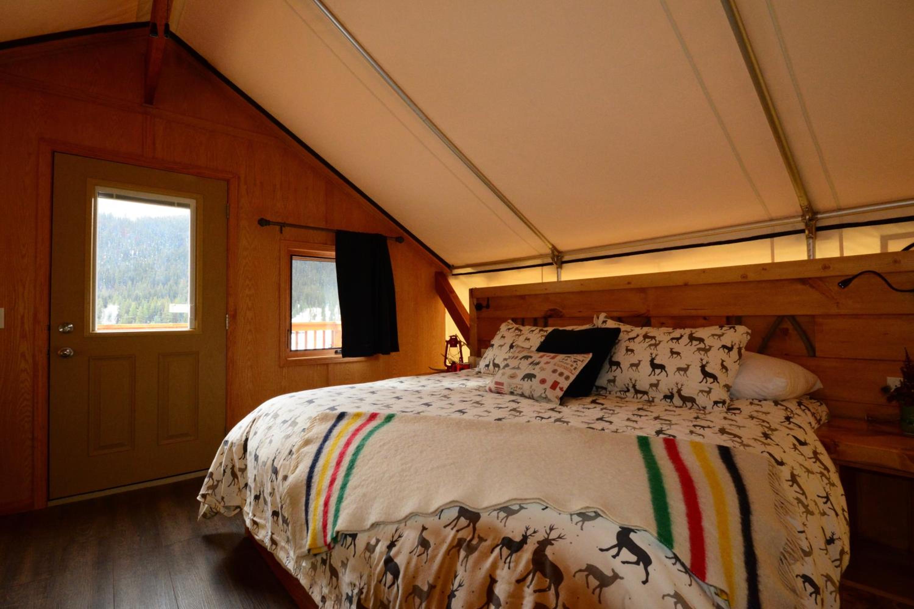 Glamping Tents photo 1