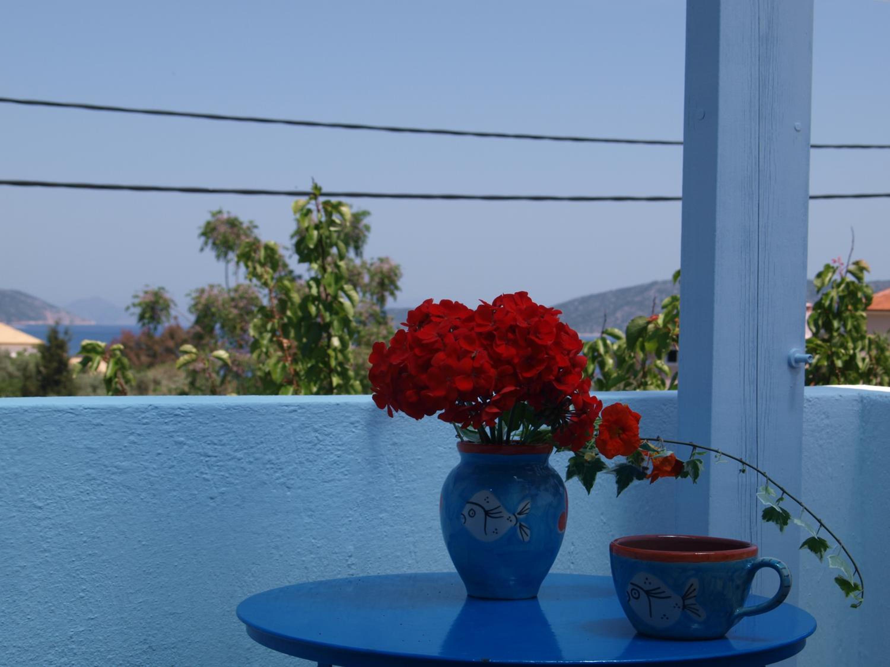 Studio with Balcony photo 2
