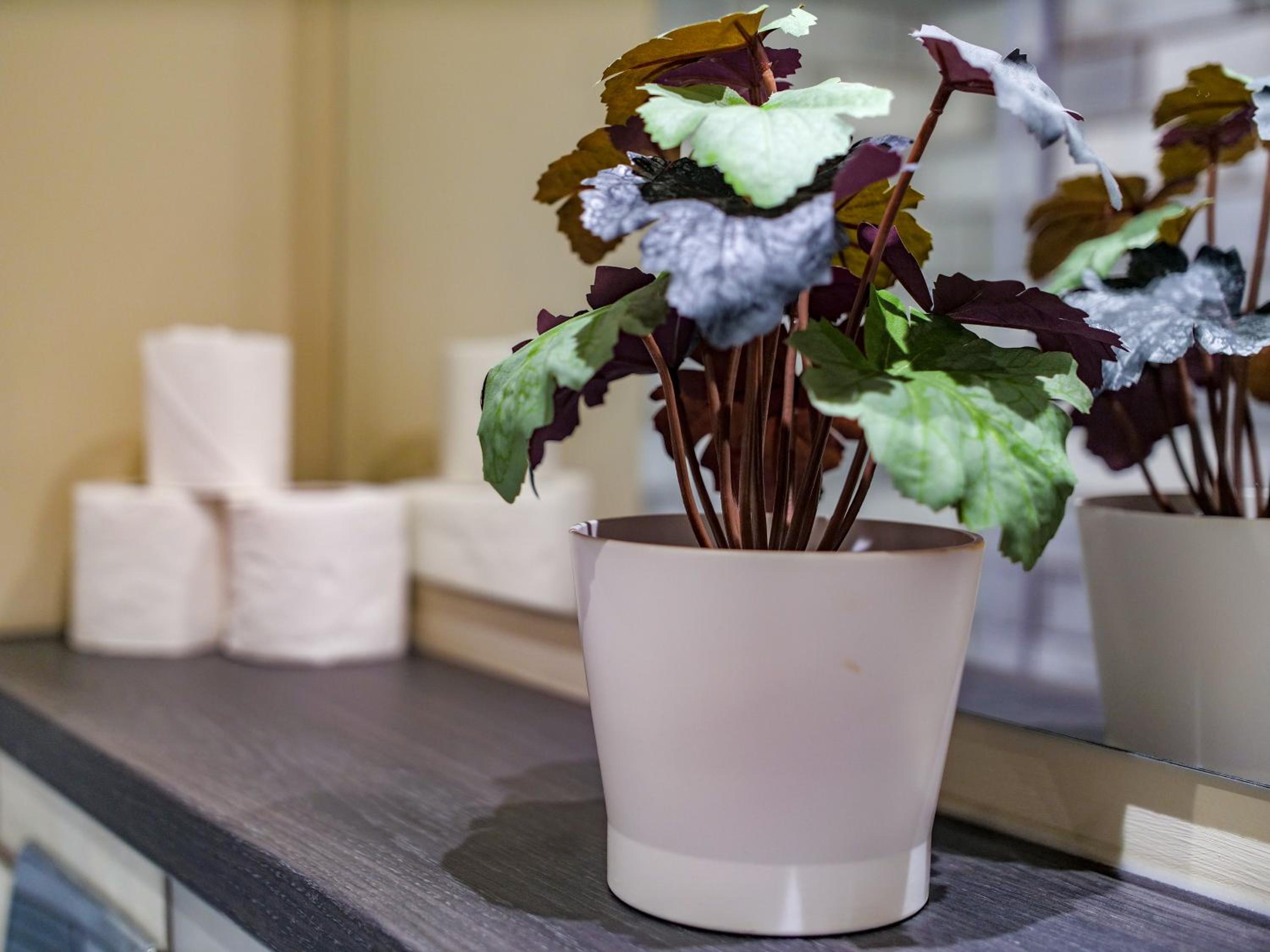 Superior Apartment - Photo 11