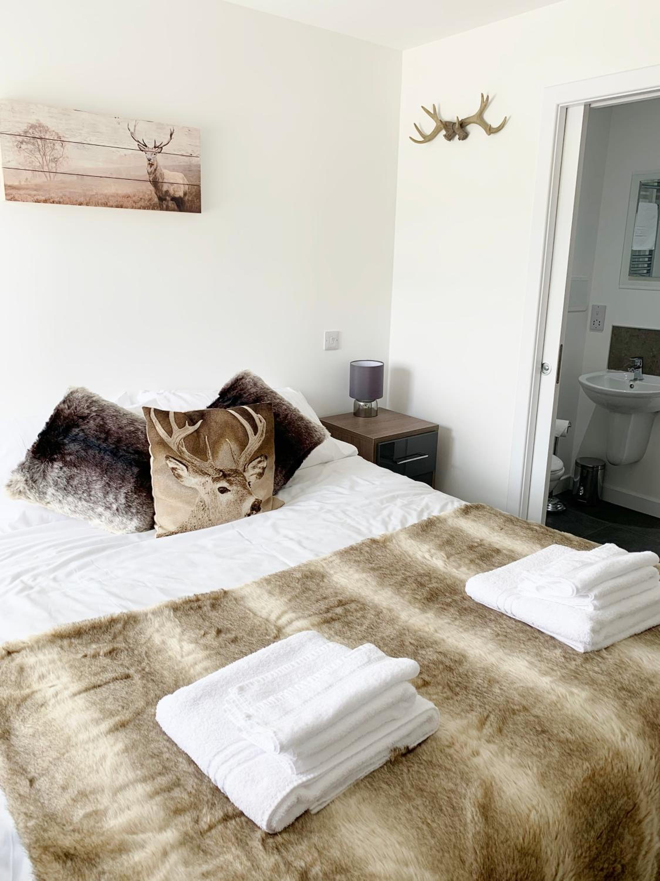 Superior King Room photo 3