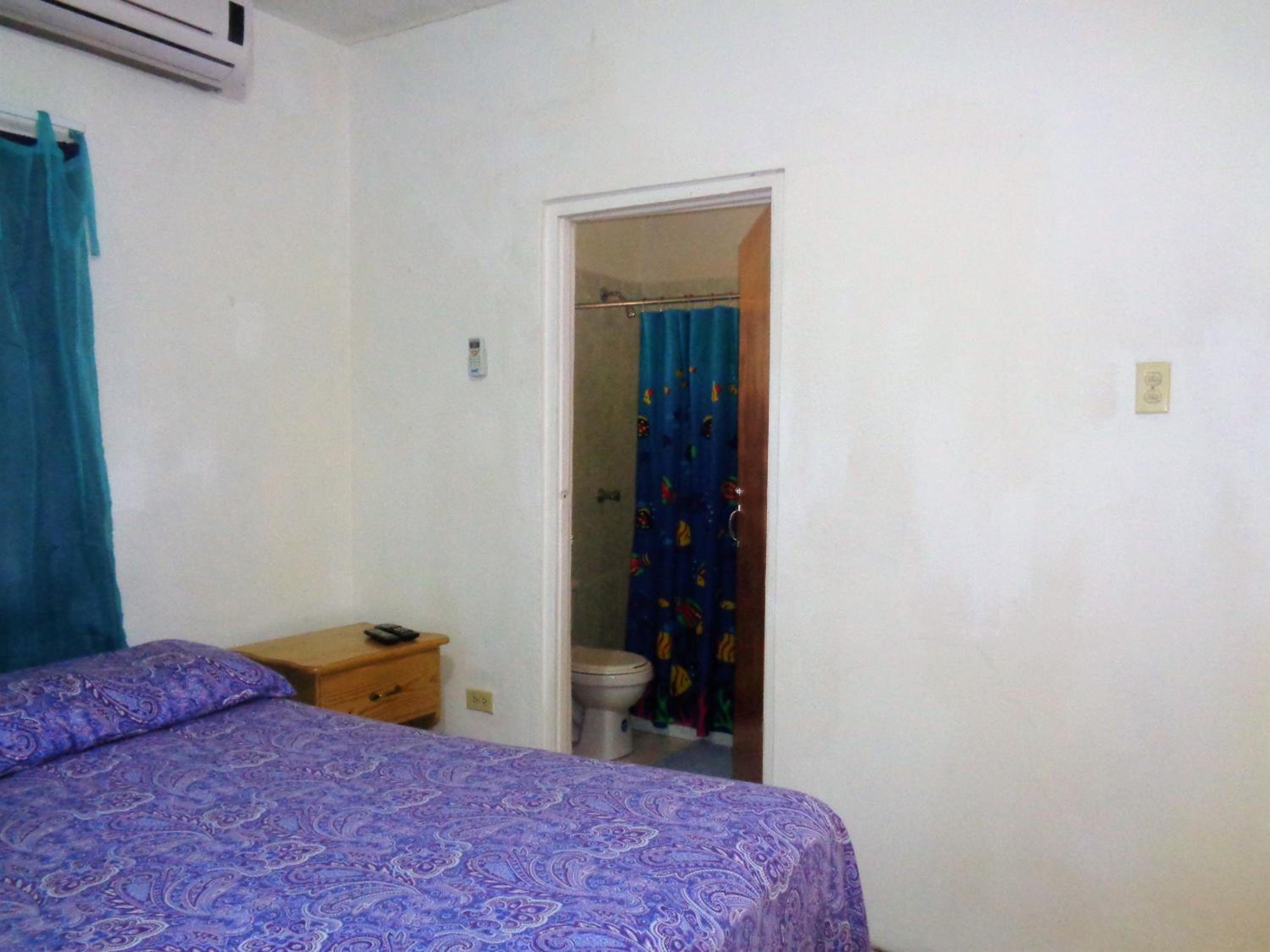 King Room photo 2