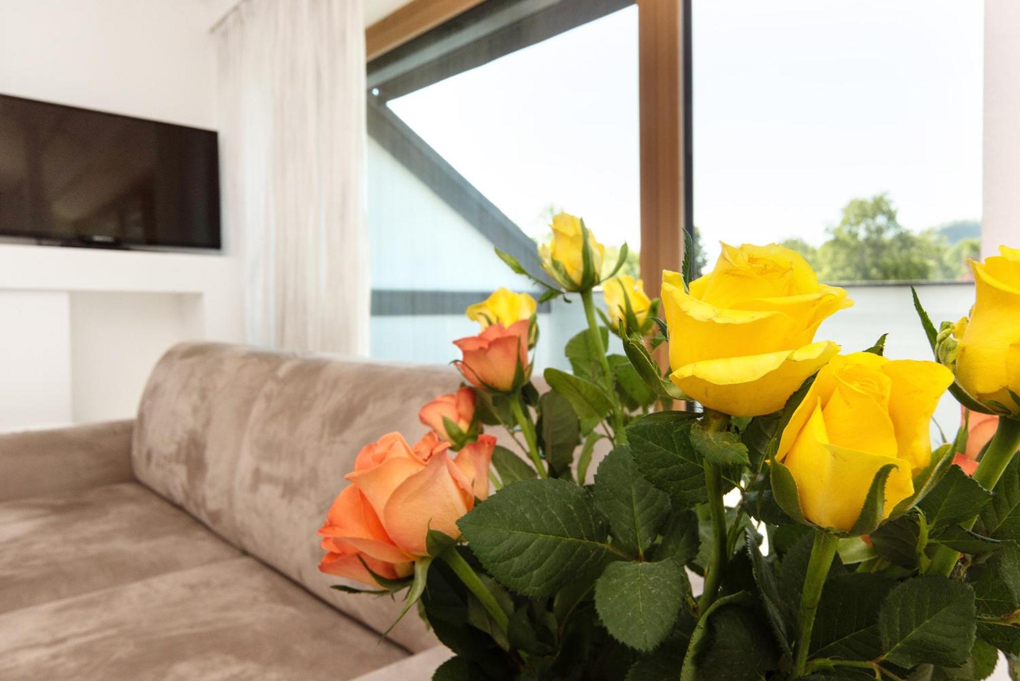 Penthouse Apartment photo 2