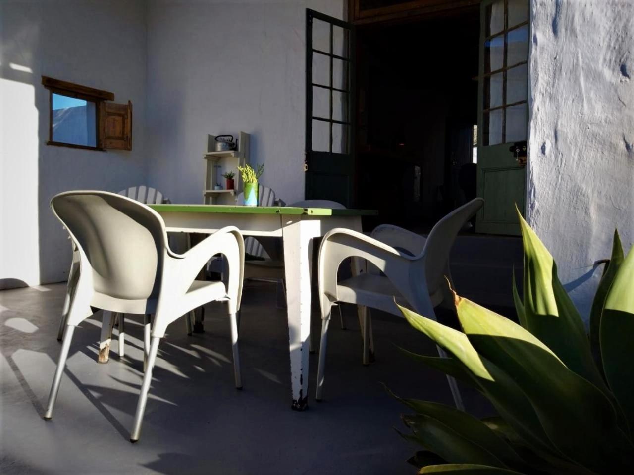 One-bedroom Apartment- Olive photo 2