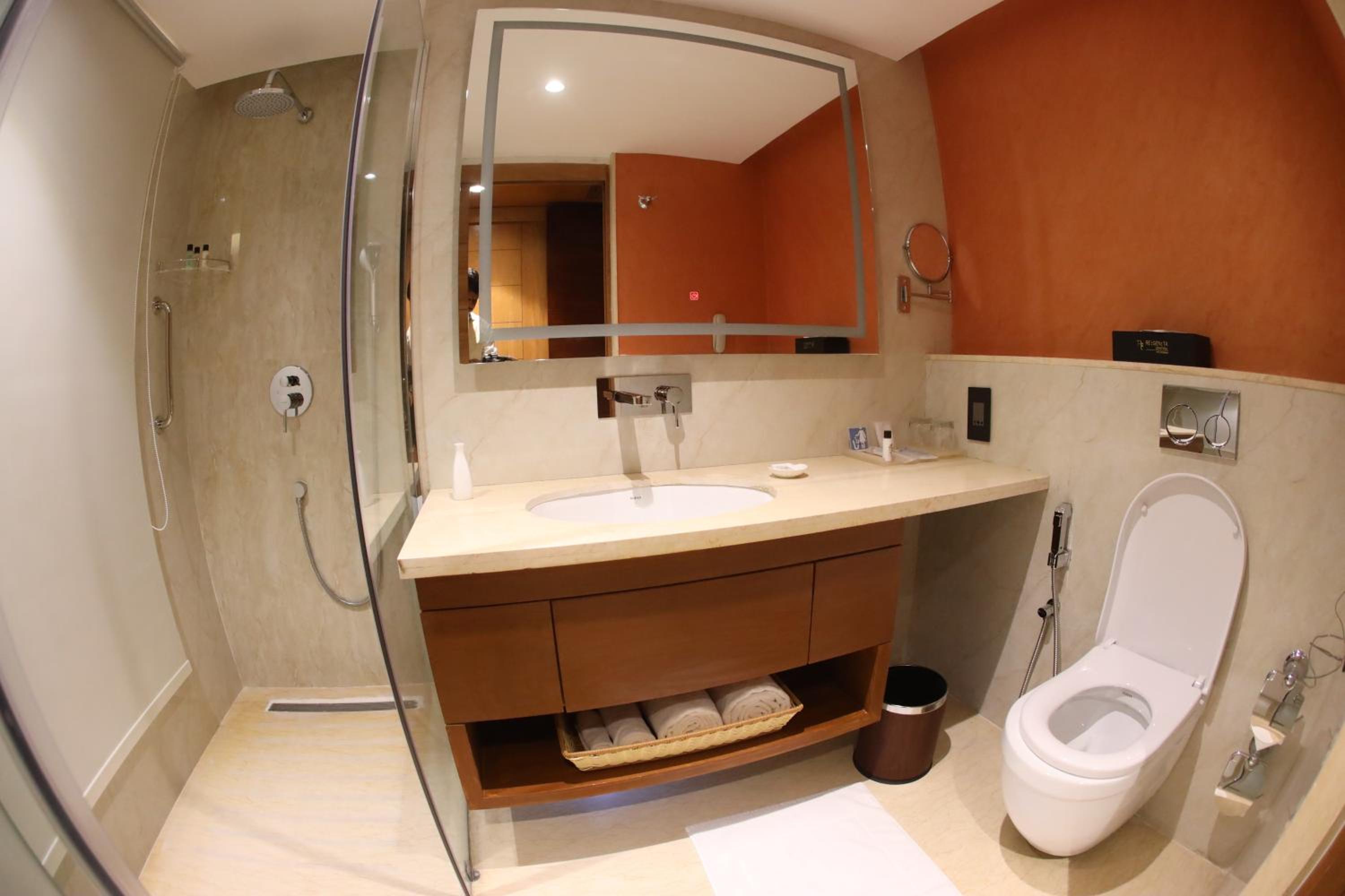 Deluxe Twin / King Room  - Photo 14