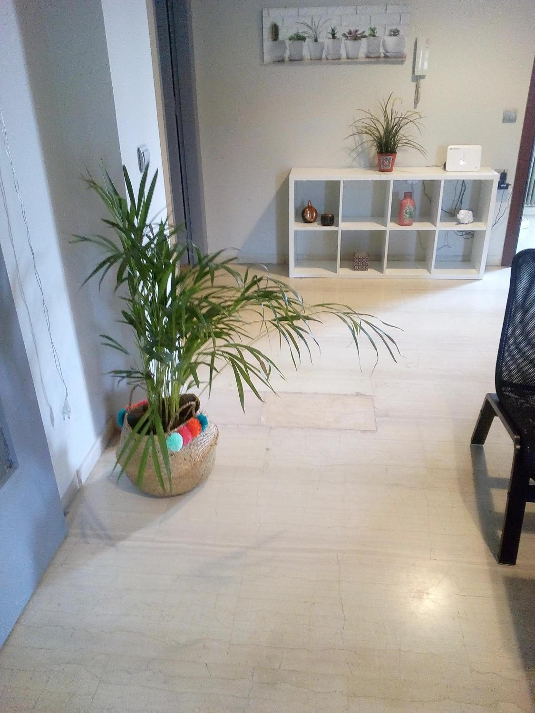 Two-Bedroom Apartment - Photo 5