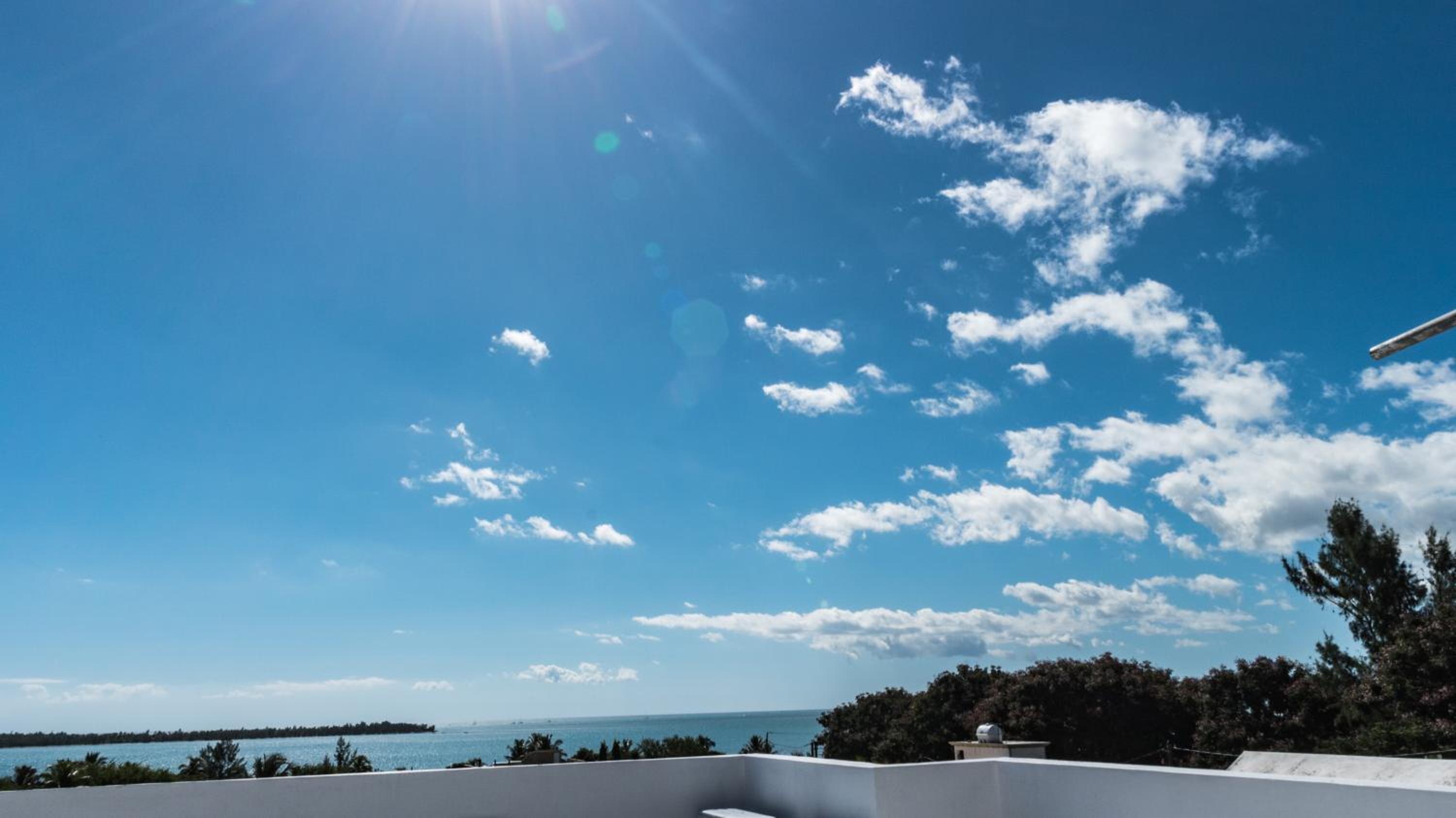 Studio with Sea View photo 2