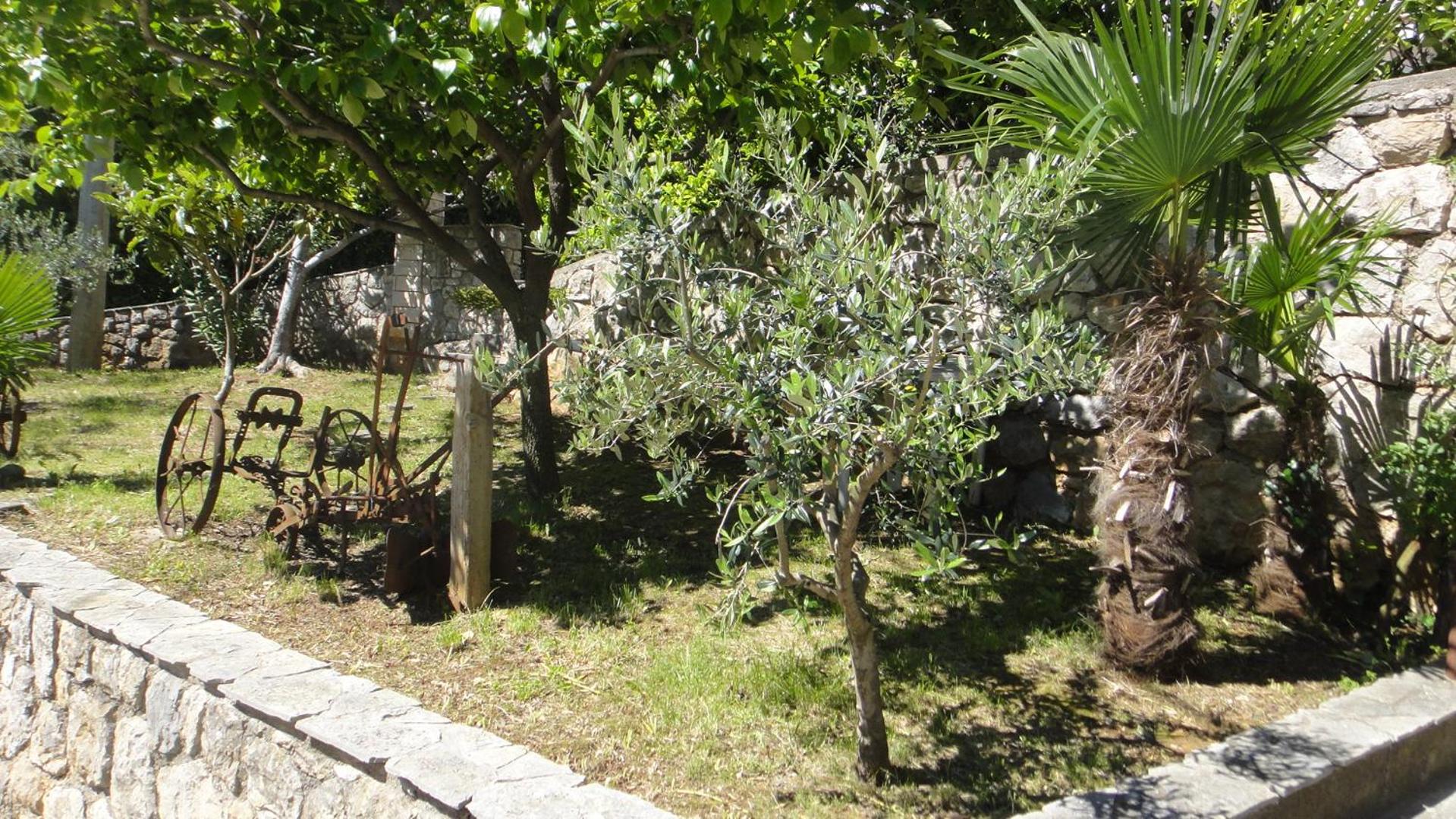 Apartment - Photo 23