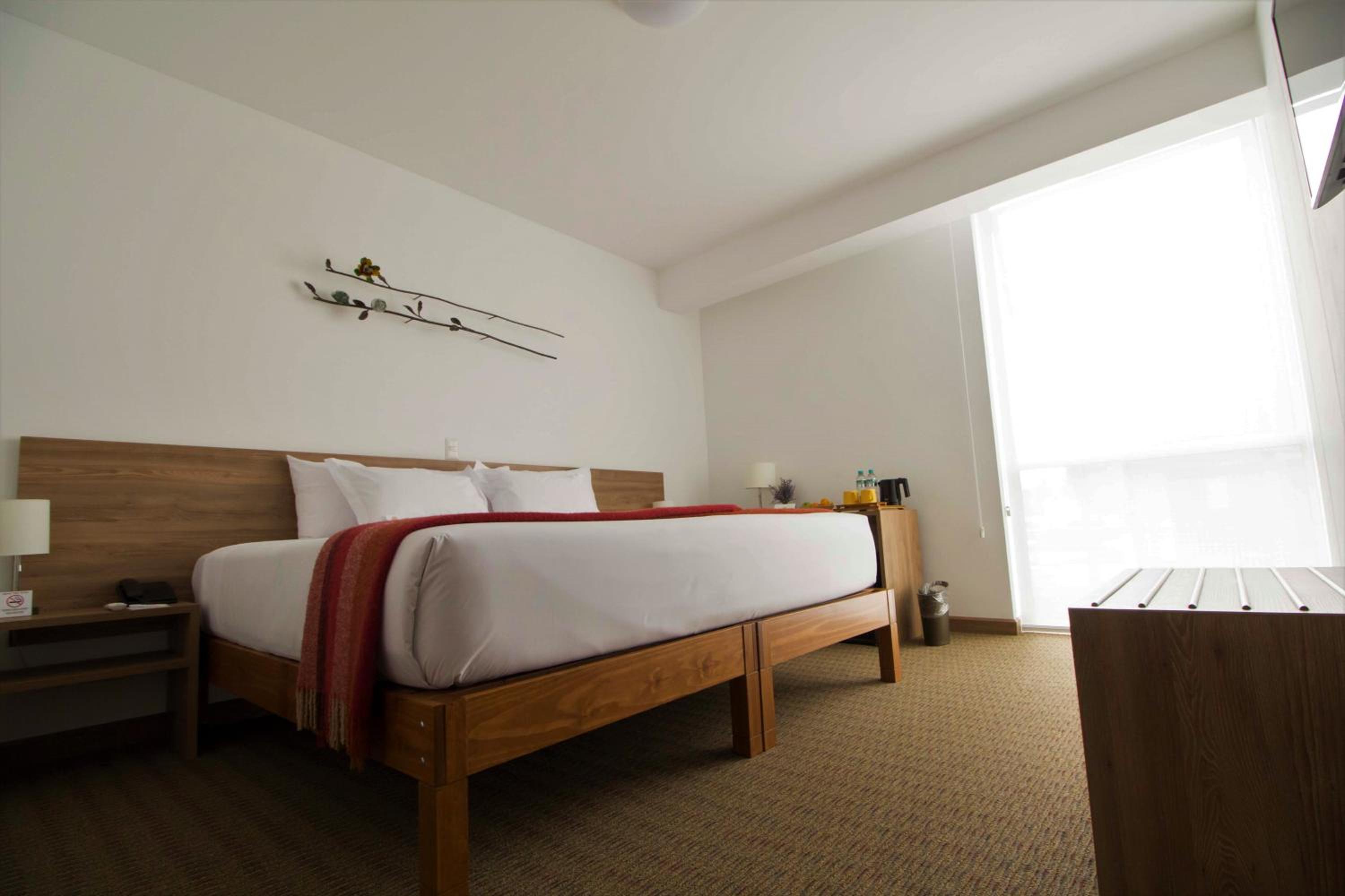 Superior Double or Twin Room - Photo 1