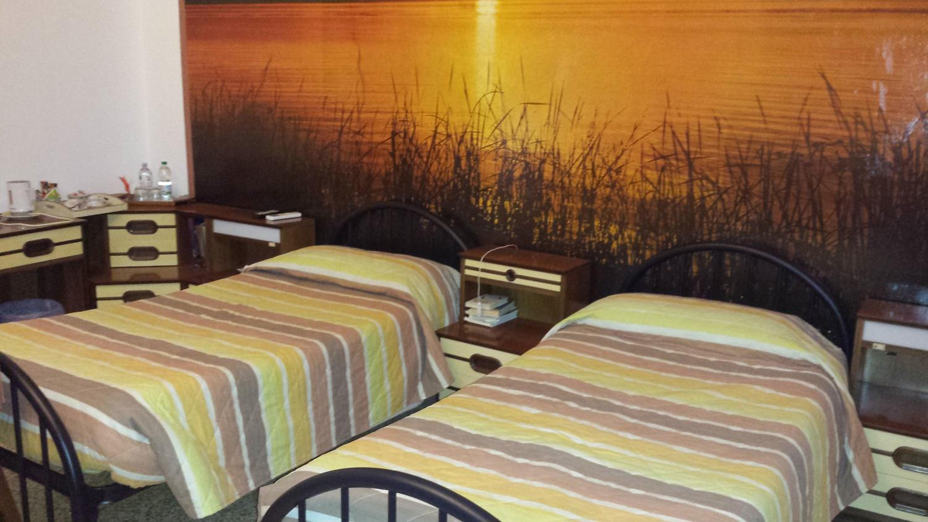 Twin Room with Terrace photo 1