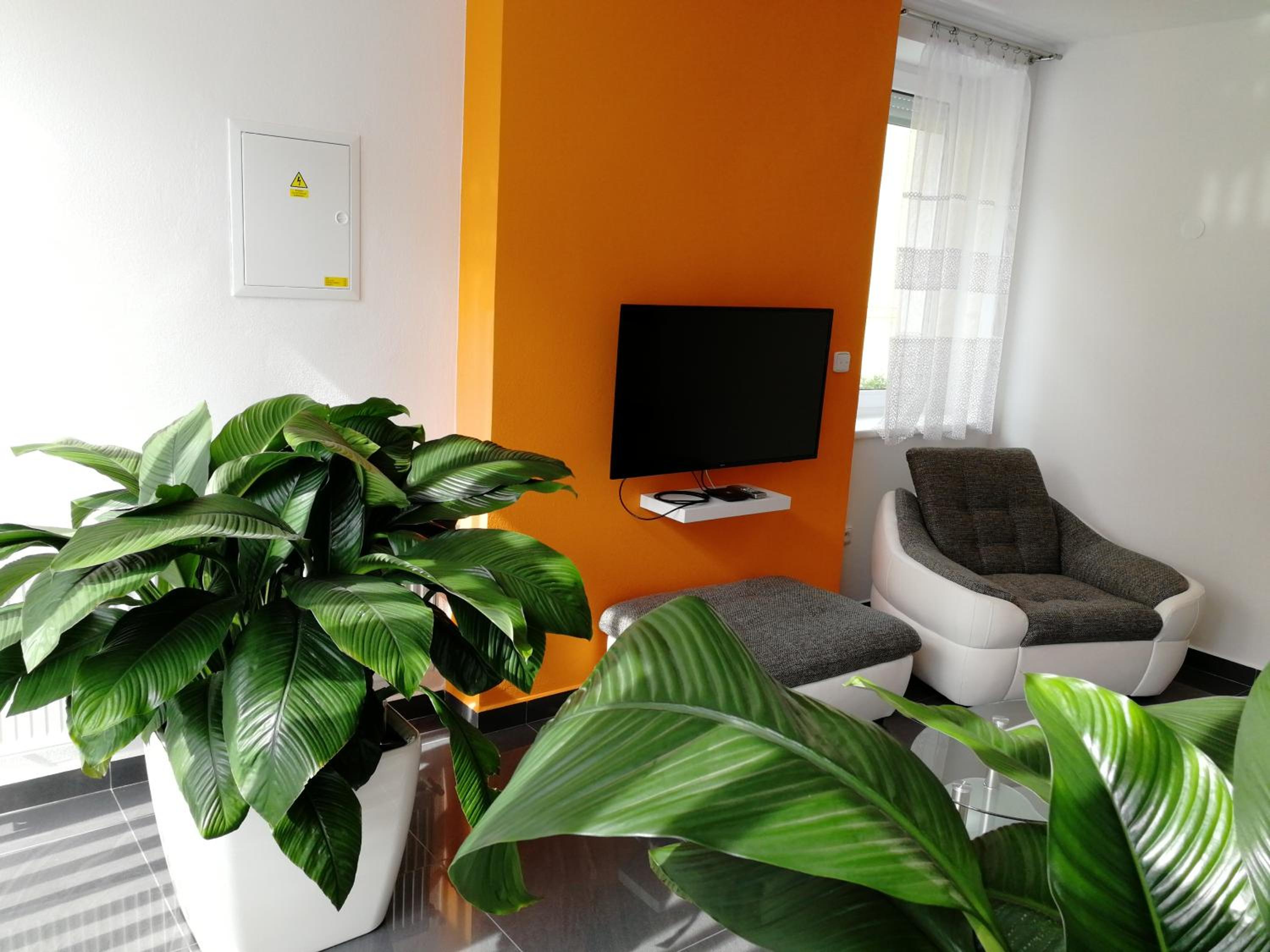 Apartment - Ground Floor - Photo 9