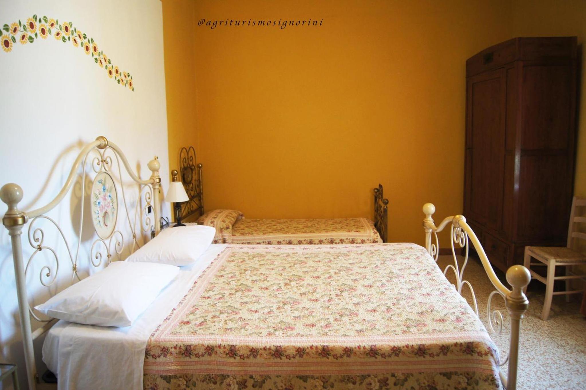 Deluxe Double or Twin Room photo 1
