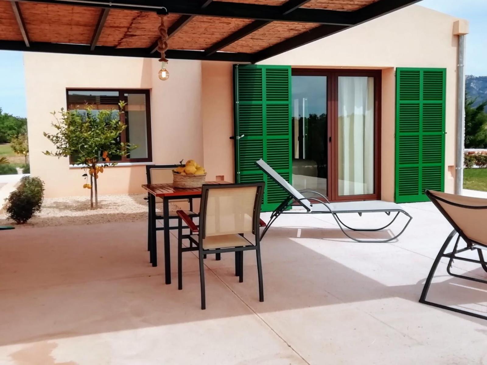 Apartment with Terrace photo 2