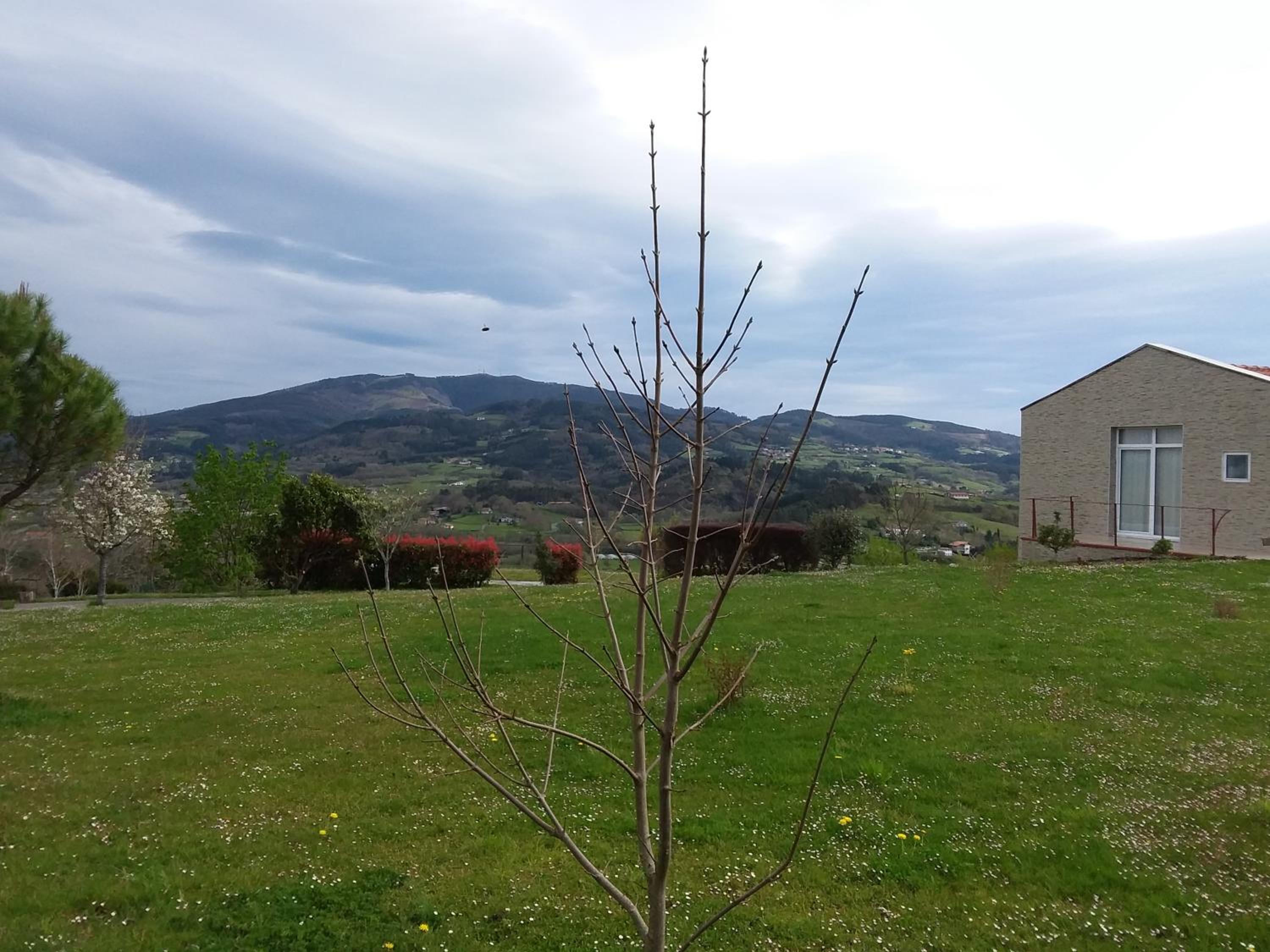 Apartment with Mountain View - Photo 18