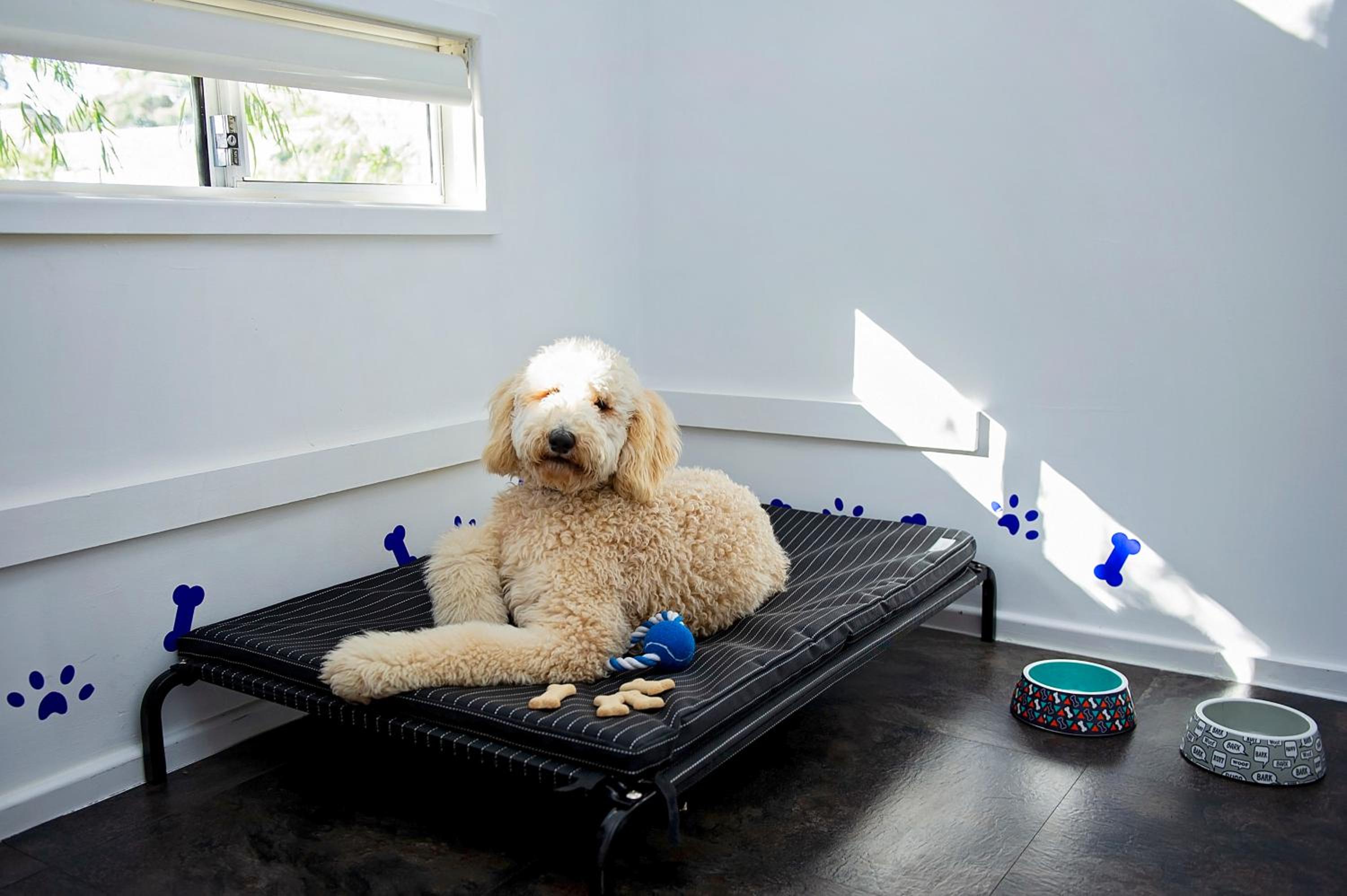 Standard 1 Bedroom Cabin - Pet Friendly - Photo 3