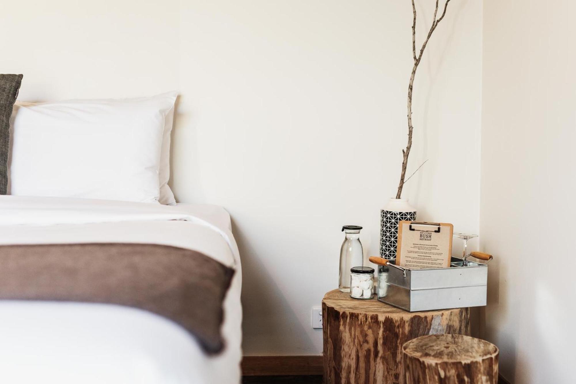 King Room photo 1