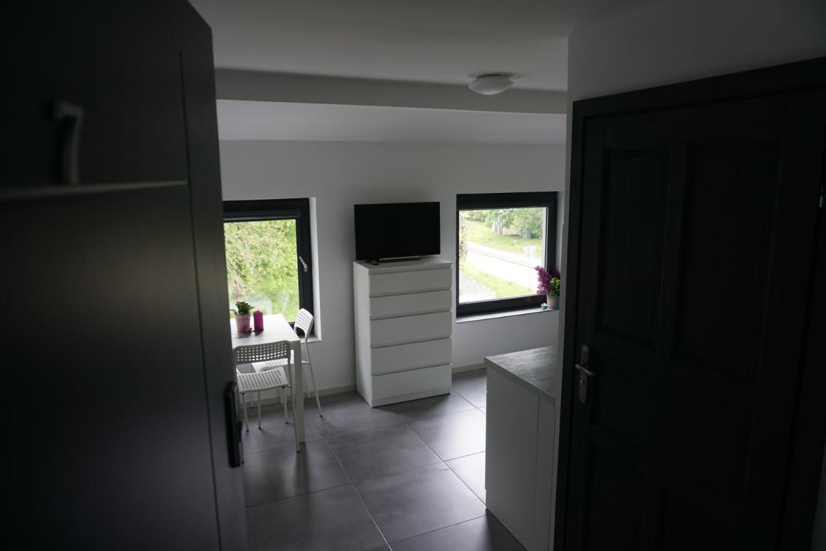 Studio with Sofa Bed