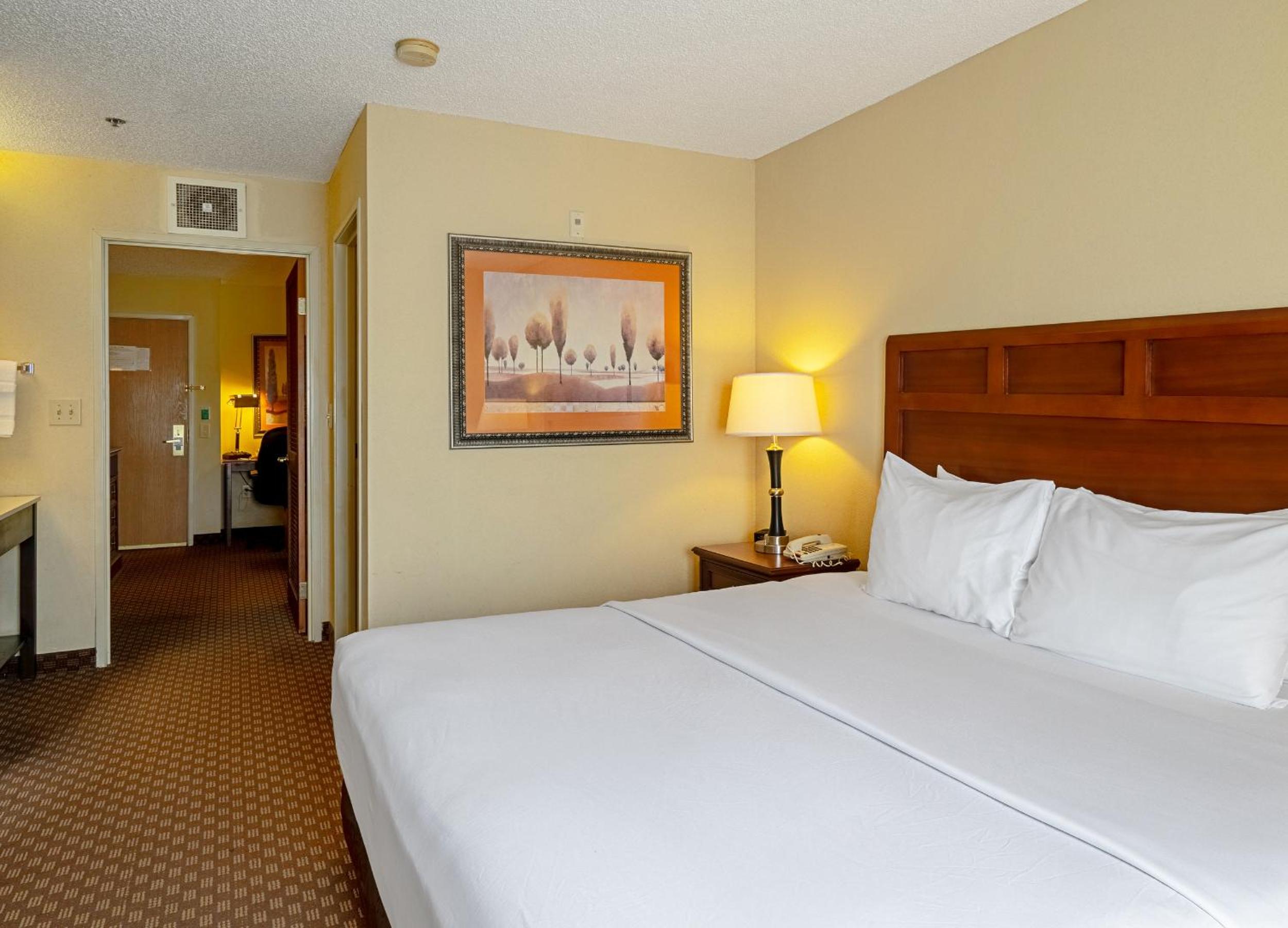 King Suite - Non-Smoking - Photo 10