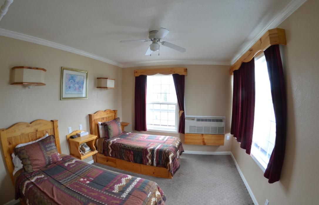 Twin Room photo 1