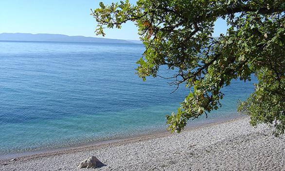 Apartment with Sea View - Photo 61