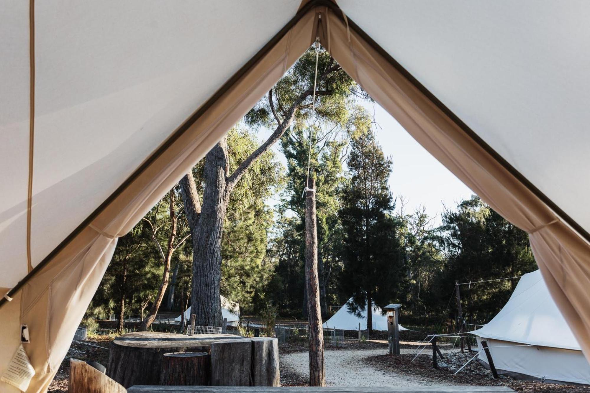 Bell Tent King photo 2