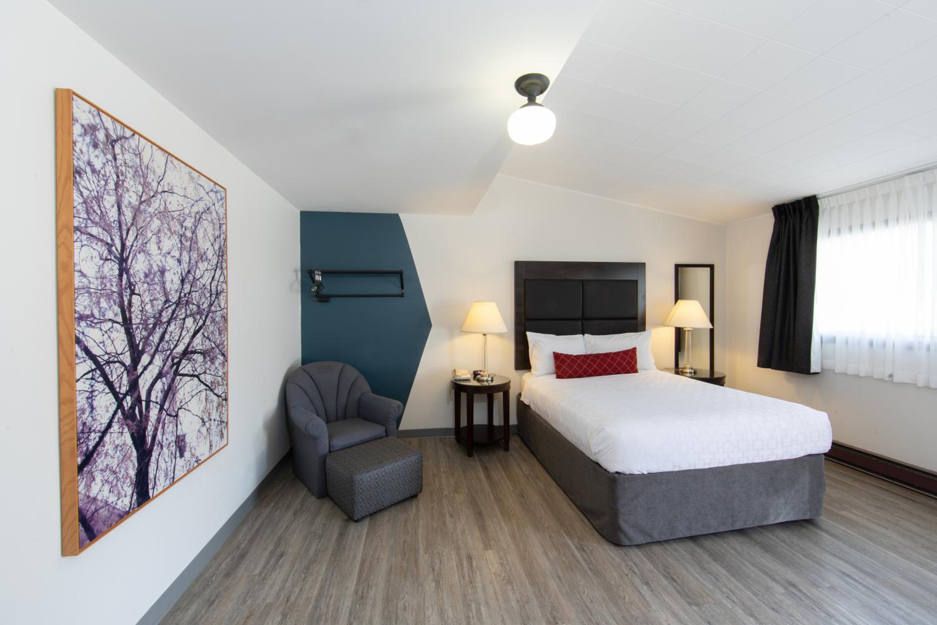 Small Queen Room with Shower Only - No Pets Allowed/Ground Floor/Non-Smoking - Photo 3