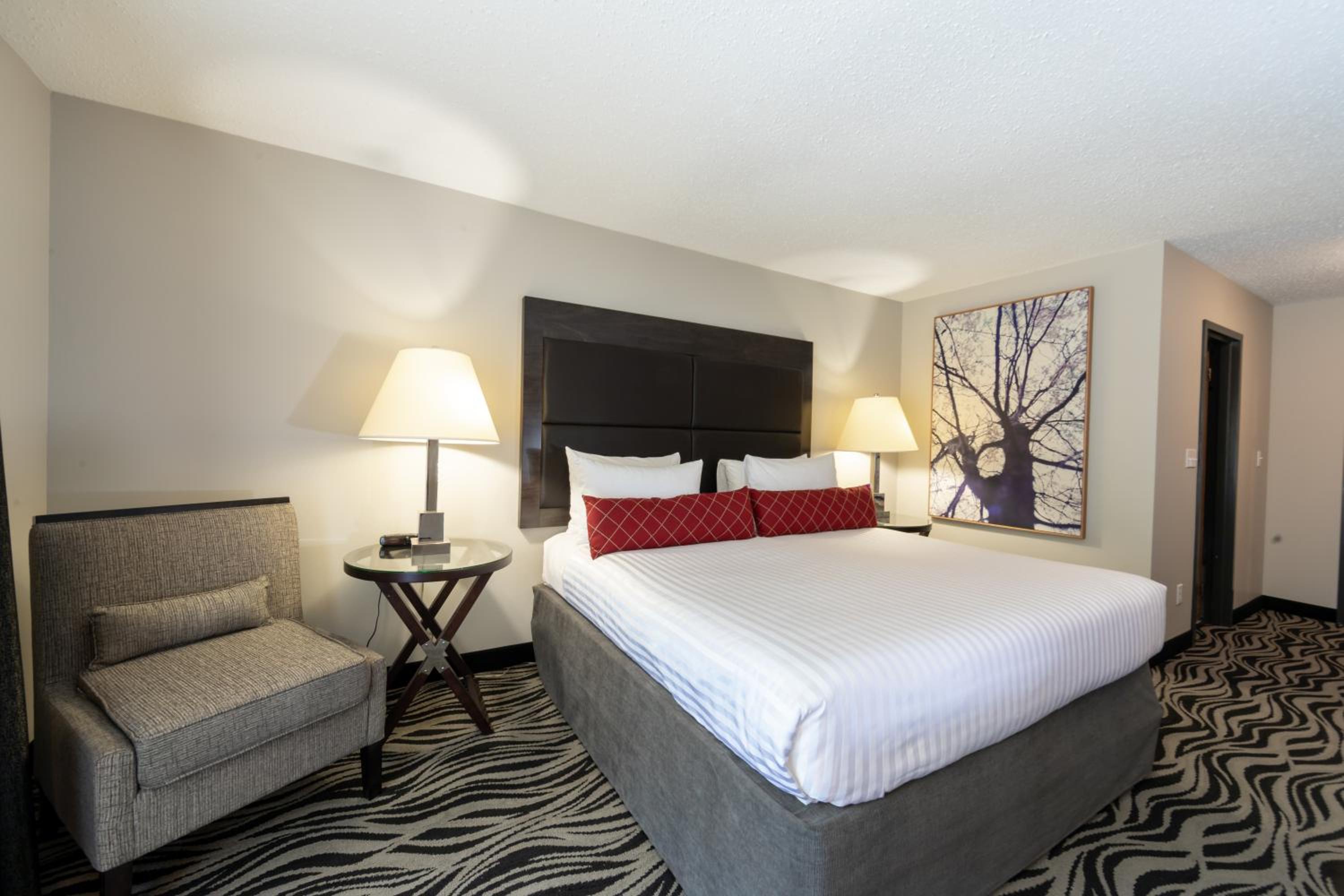 King Room - Non-Smoking - Photo 2
