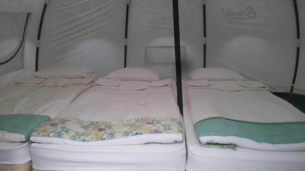 Tent - Photo 1