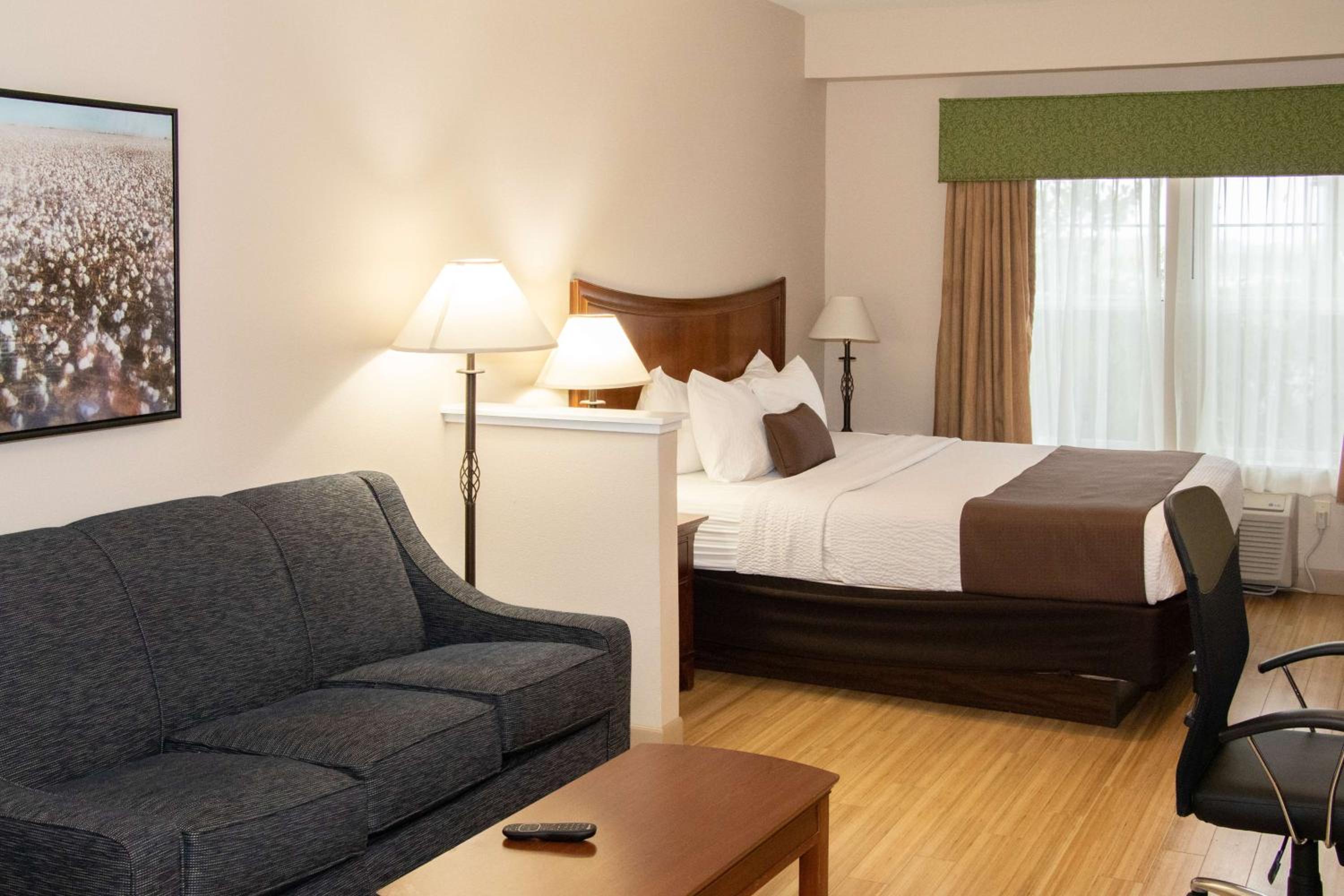 King Suite with Sofa Bed - Photo 1