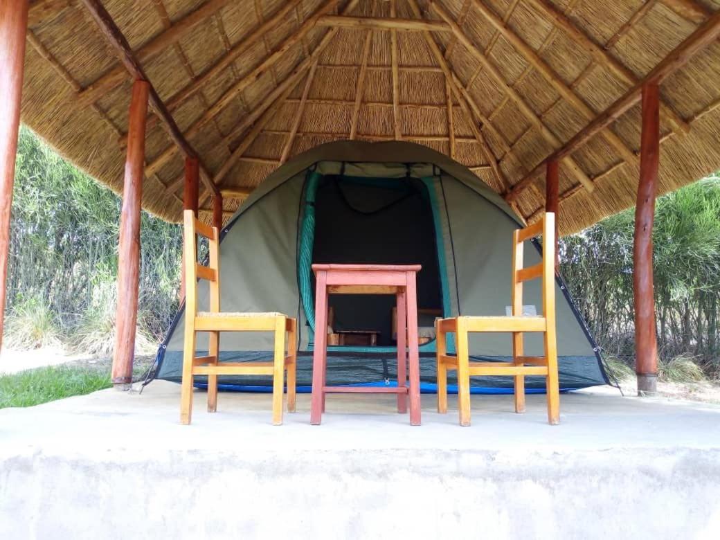 Tent photo 3