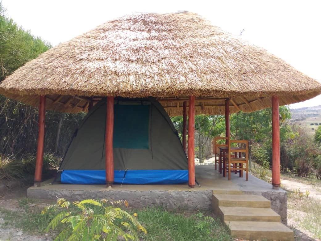 Tent photo 2