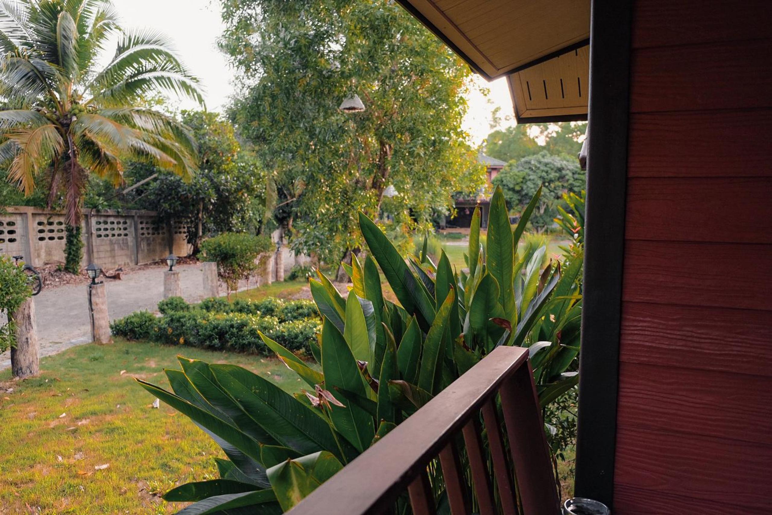 Standard Bungalow - Photo 4