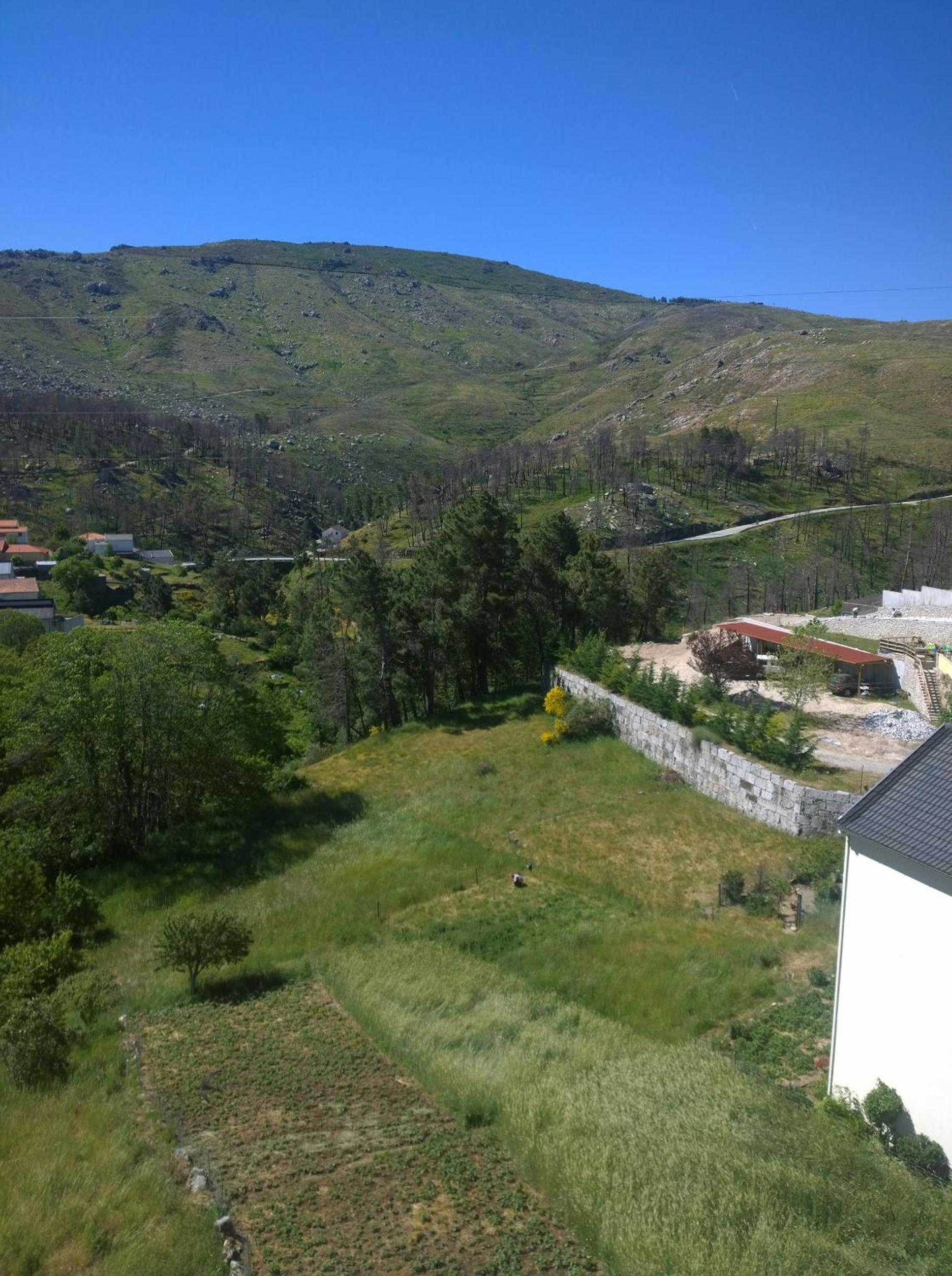 Double Room with Mountain View photo 2