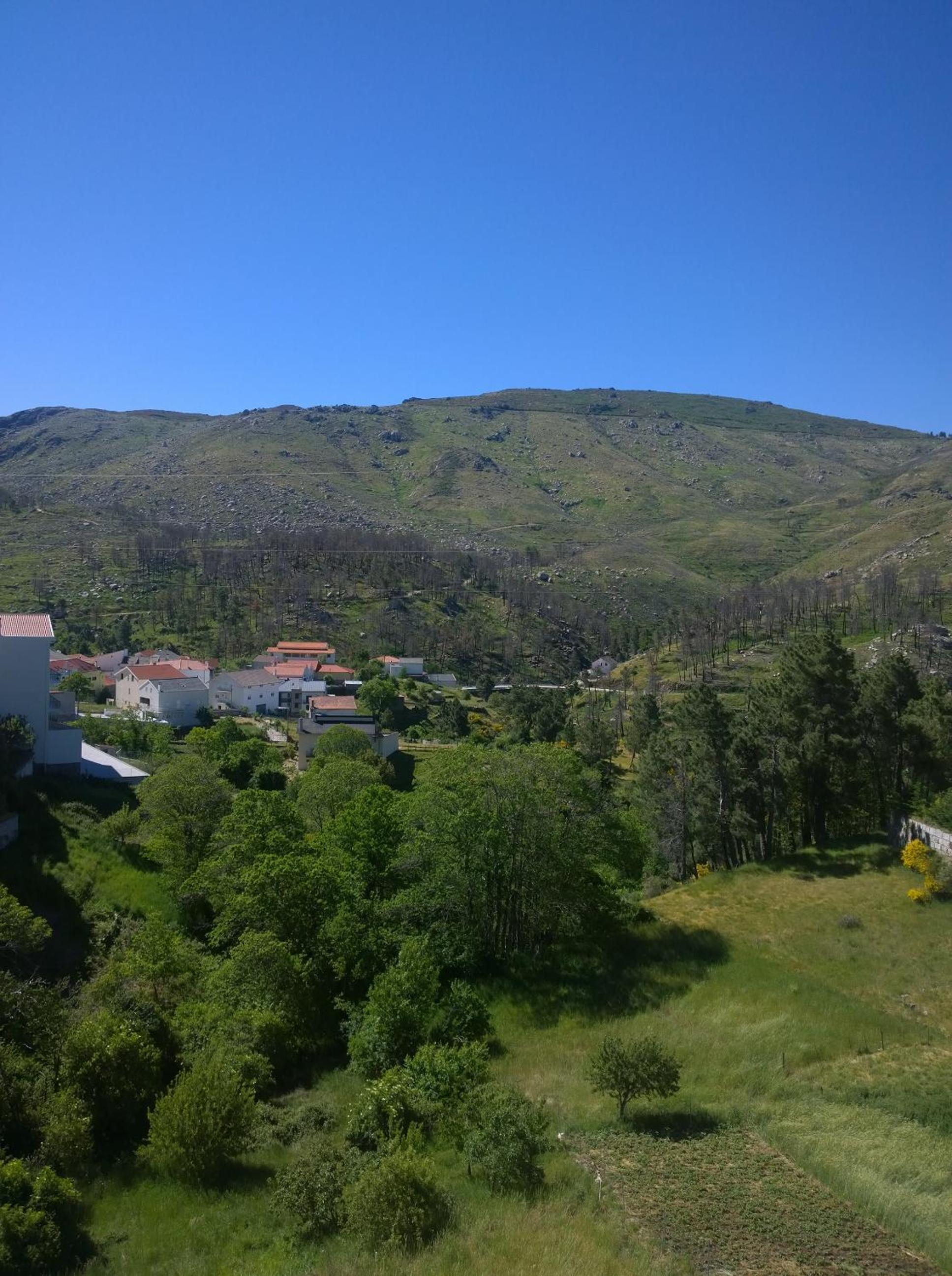 Triple Room with Mountain View photo 3