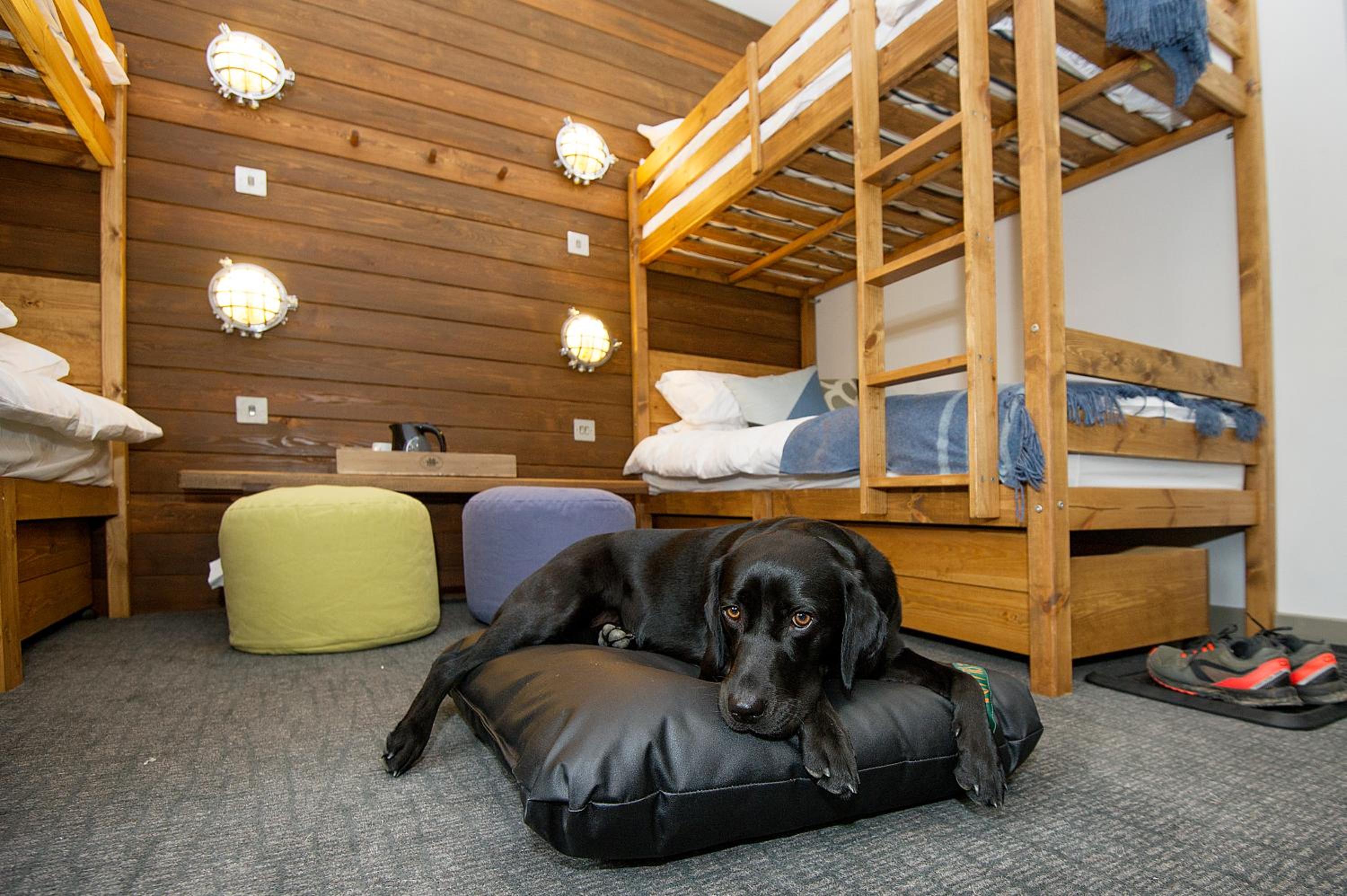 Quadruple Room with Bathroom - Photo 6