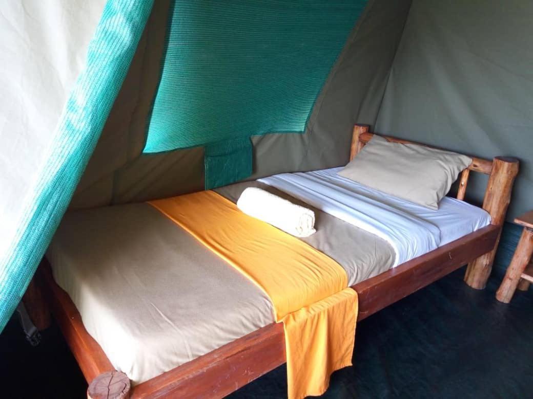 Tent photo 1