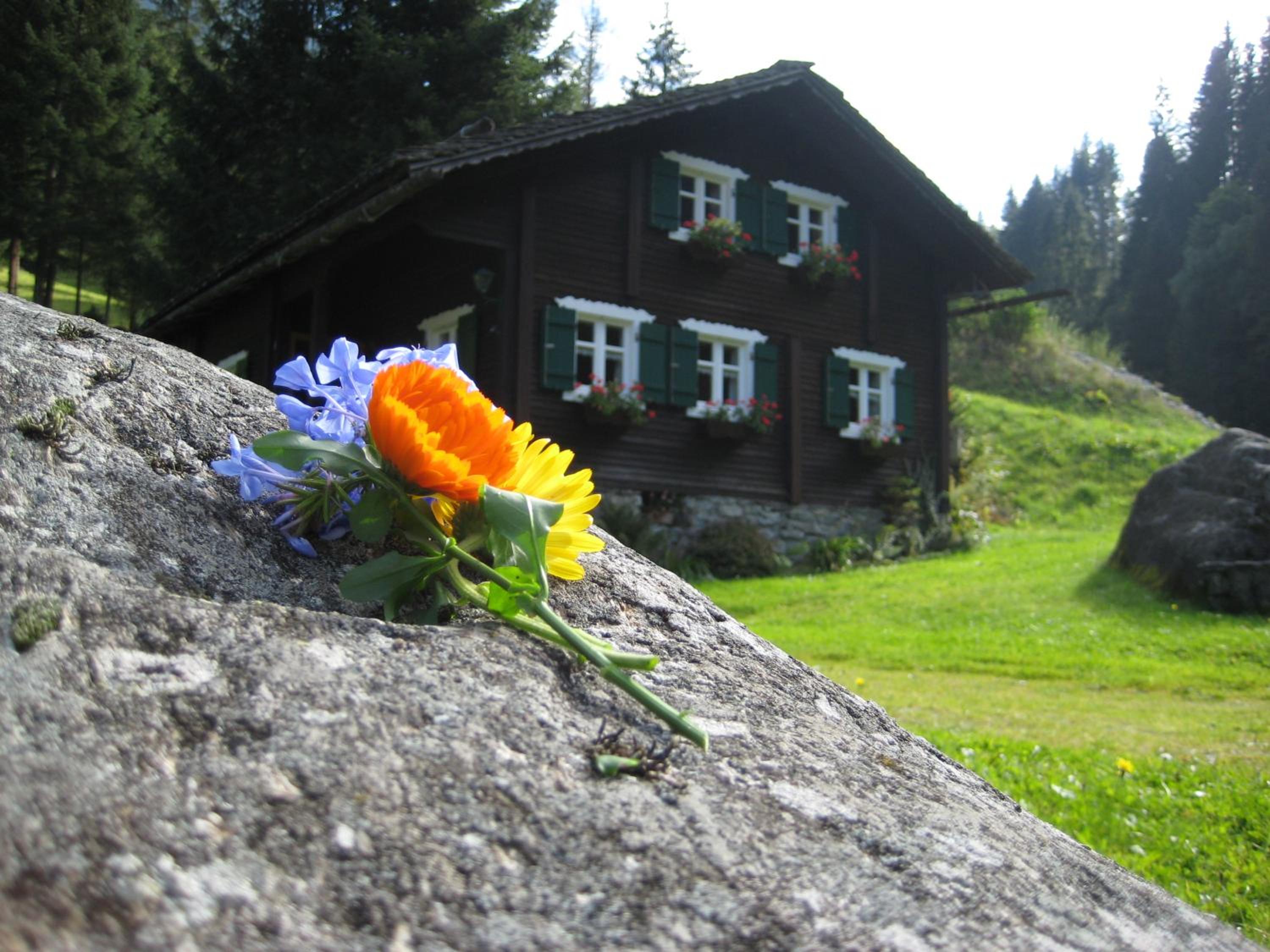 Vacation Home photo 2
