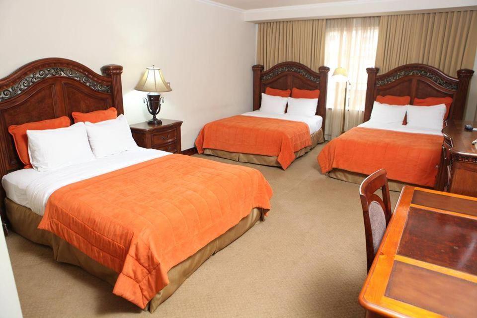Triple Room photo 2