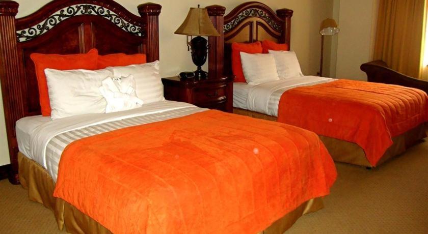 Standard Double Suite photo 1