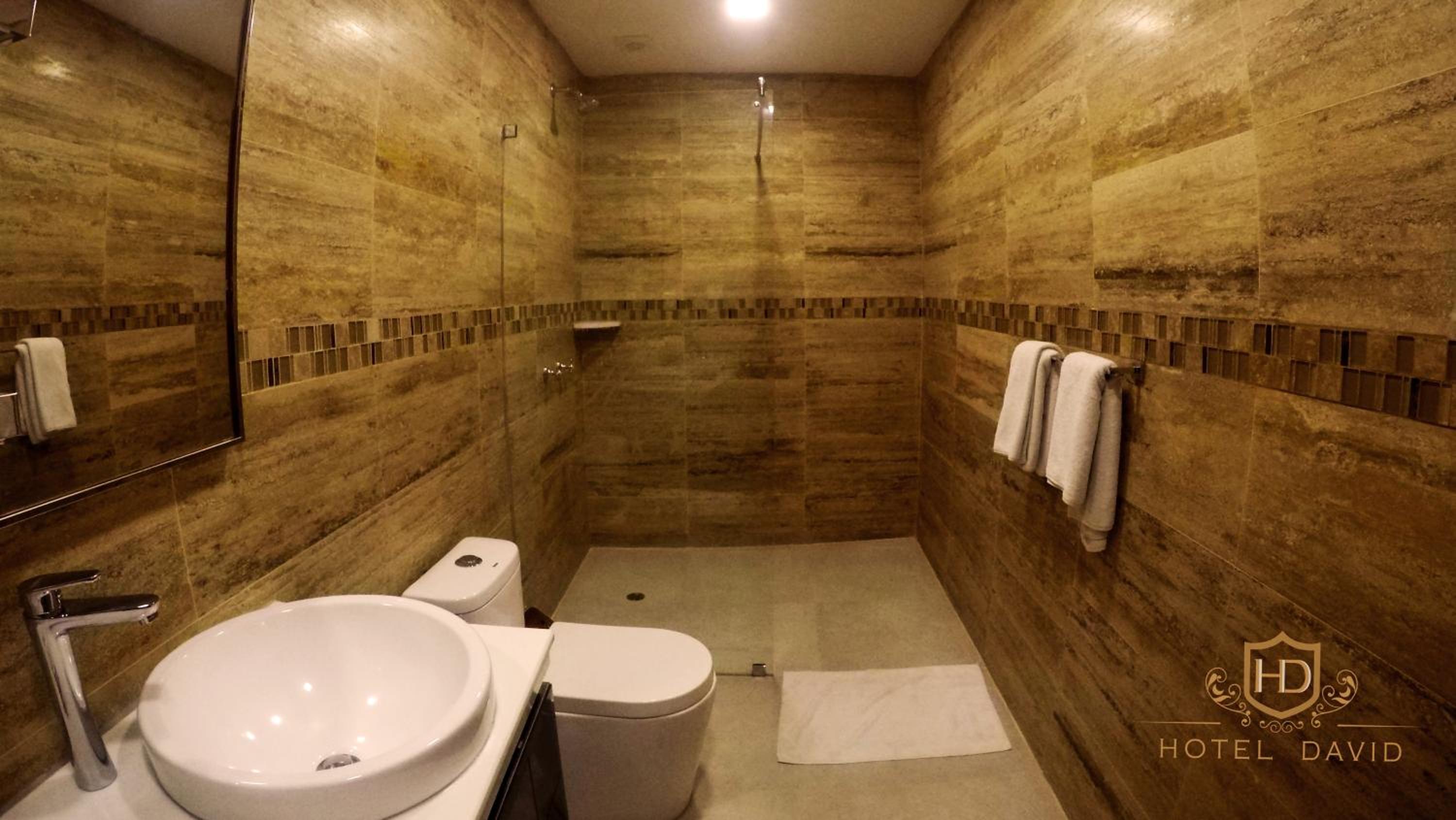 Hotel David — photo 89