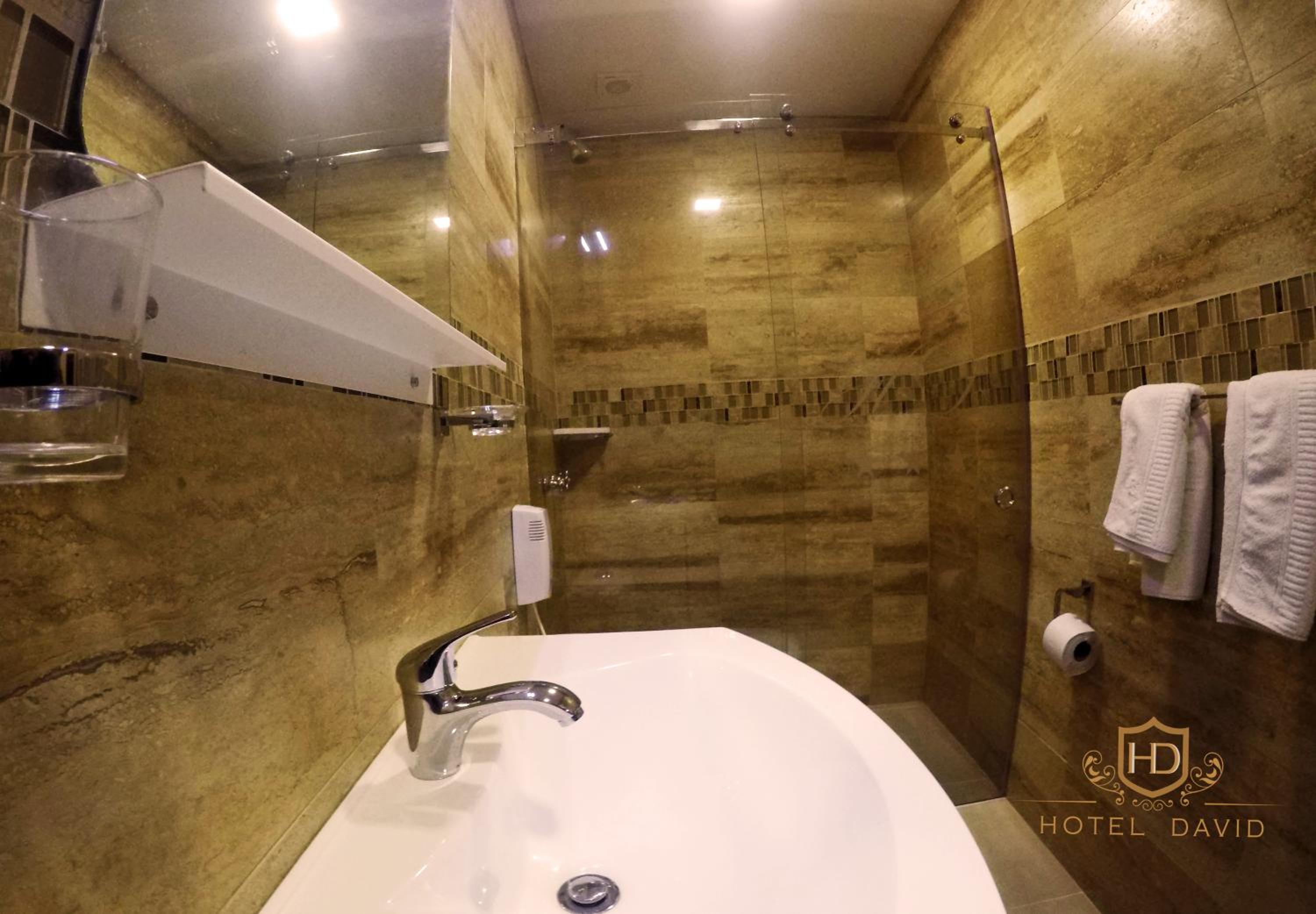 Hotel David — photo 91