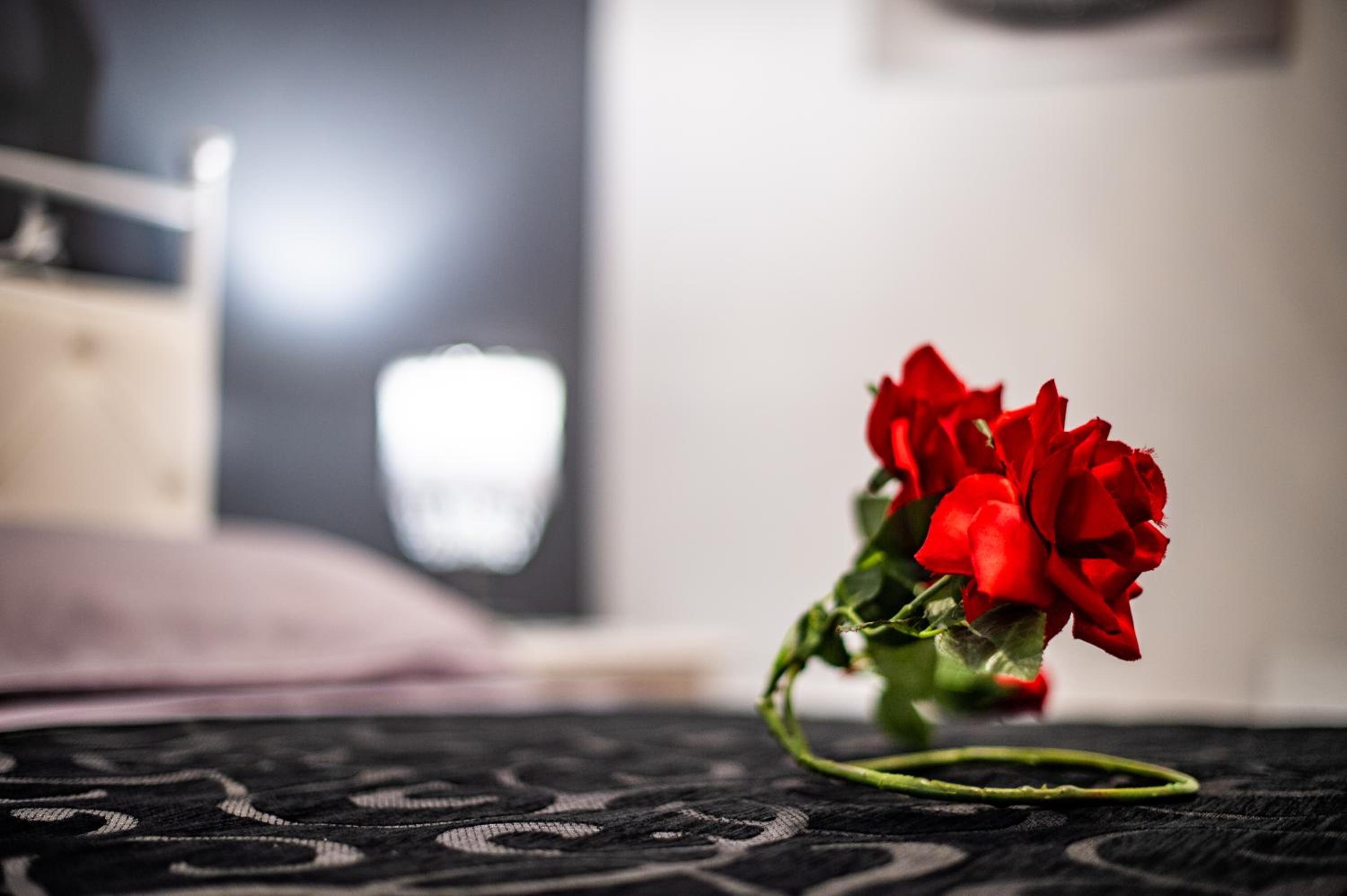 Deluxe King Room - Photo 22